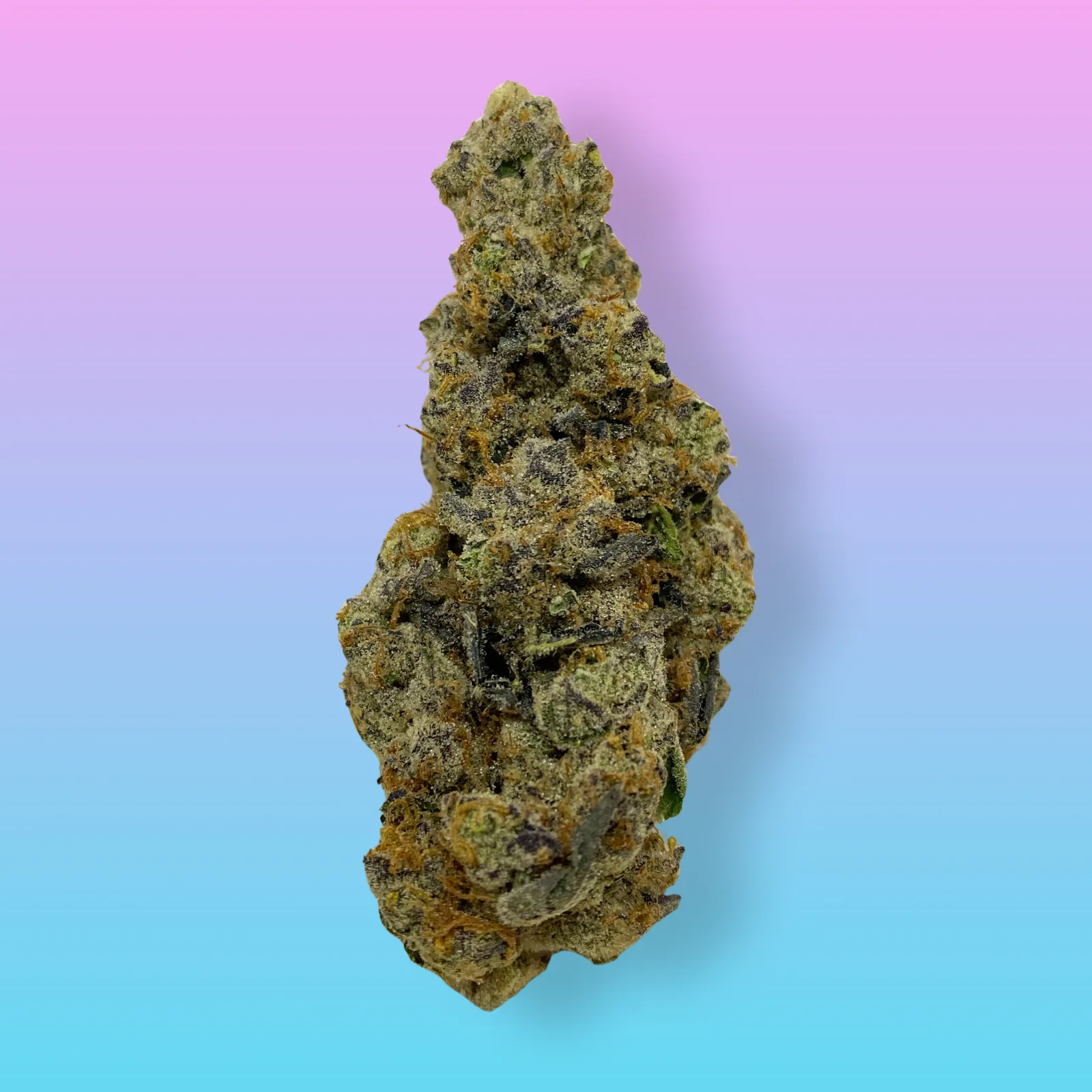 Wedding Pie Cannabis Buds – Baked in Bushwick