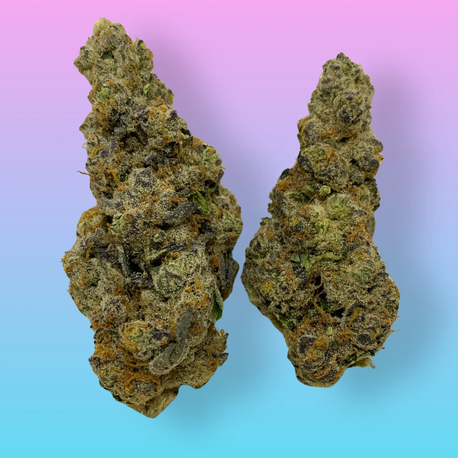 Wedding Pie Cannabis Buds – Baked in Bushwick