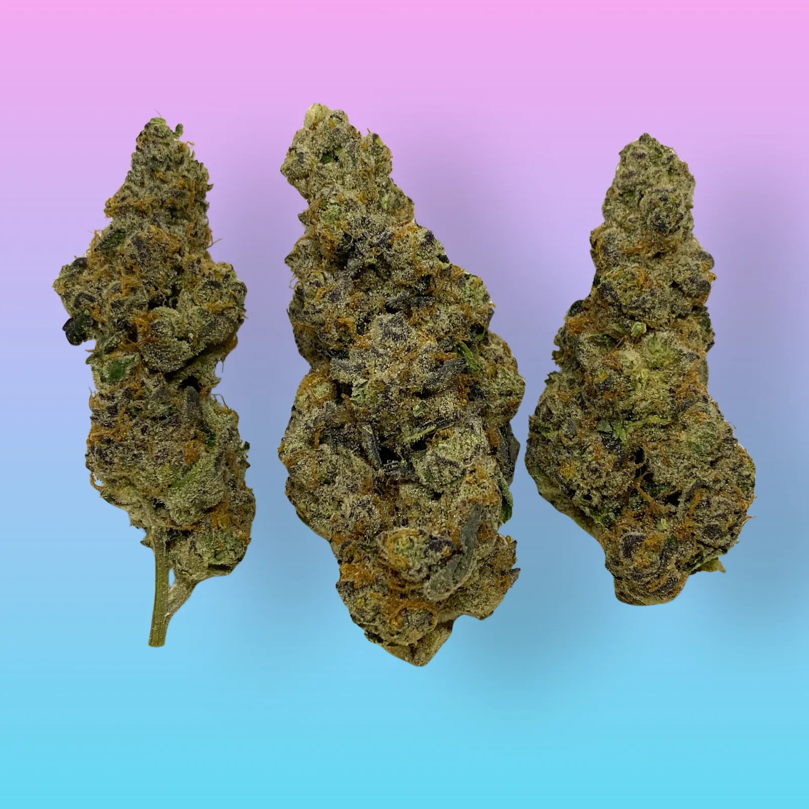 Wedding Pie Cannabis Buds – Baked in Bushwick