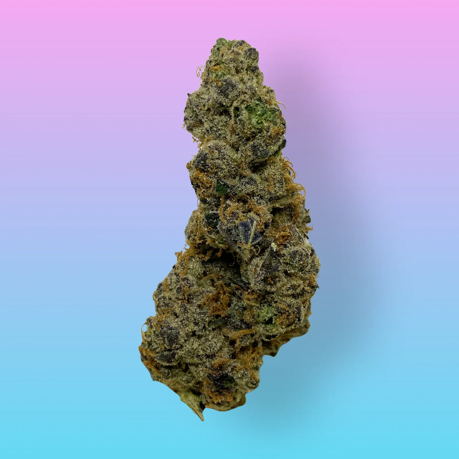 Wedding Pie Cannabis Buds – Baked in Bushwick