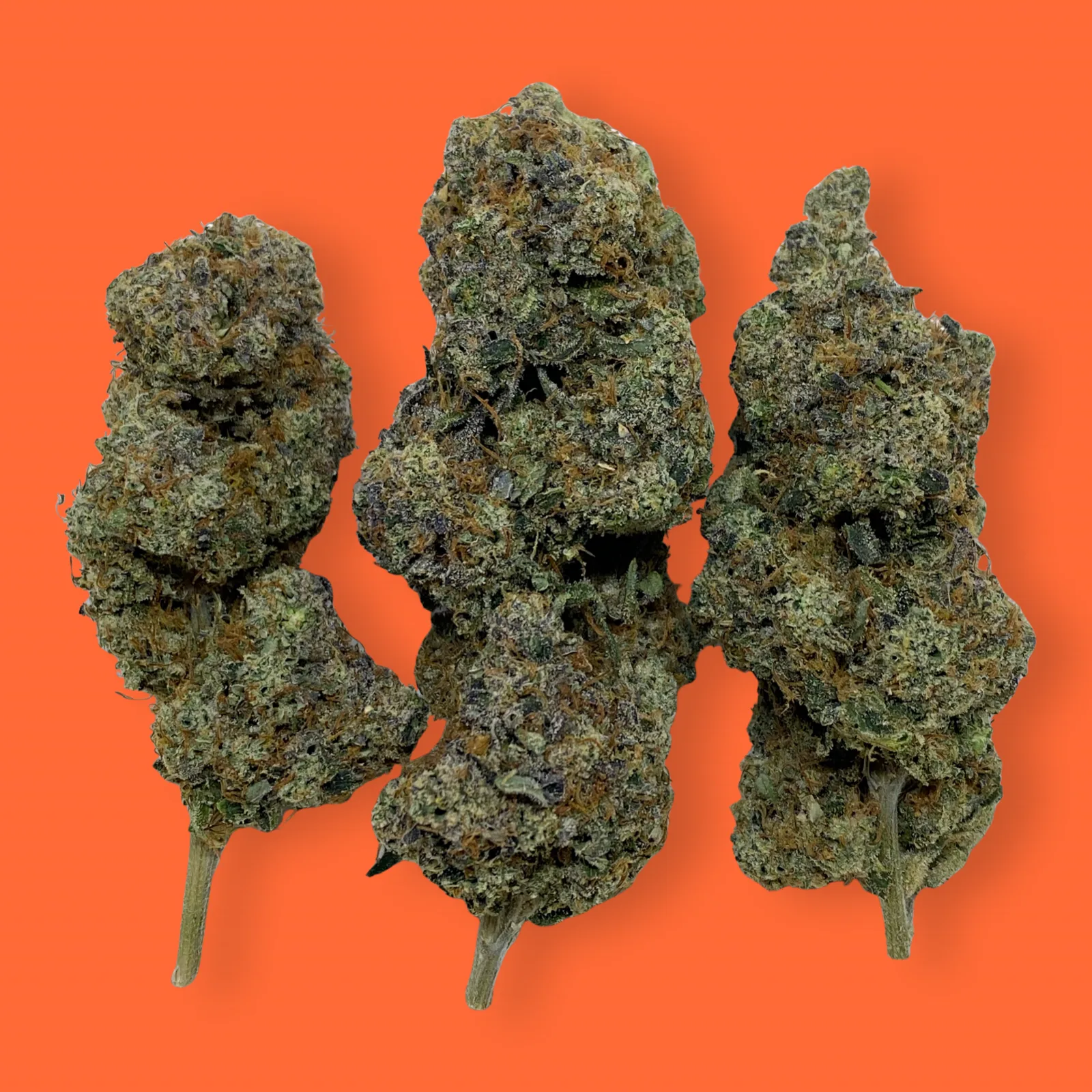 Chemdawg cannabis flower close-up – dense green buds with orange hairs and crystal trichomes