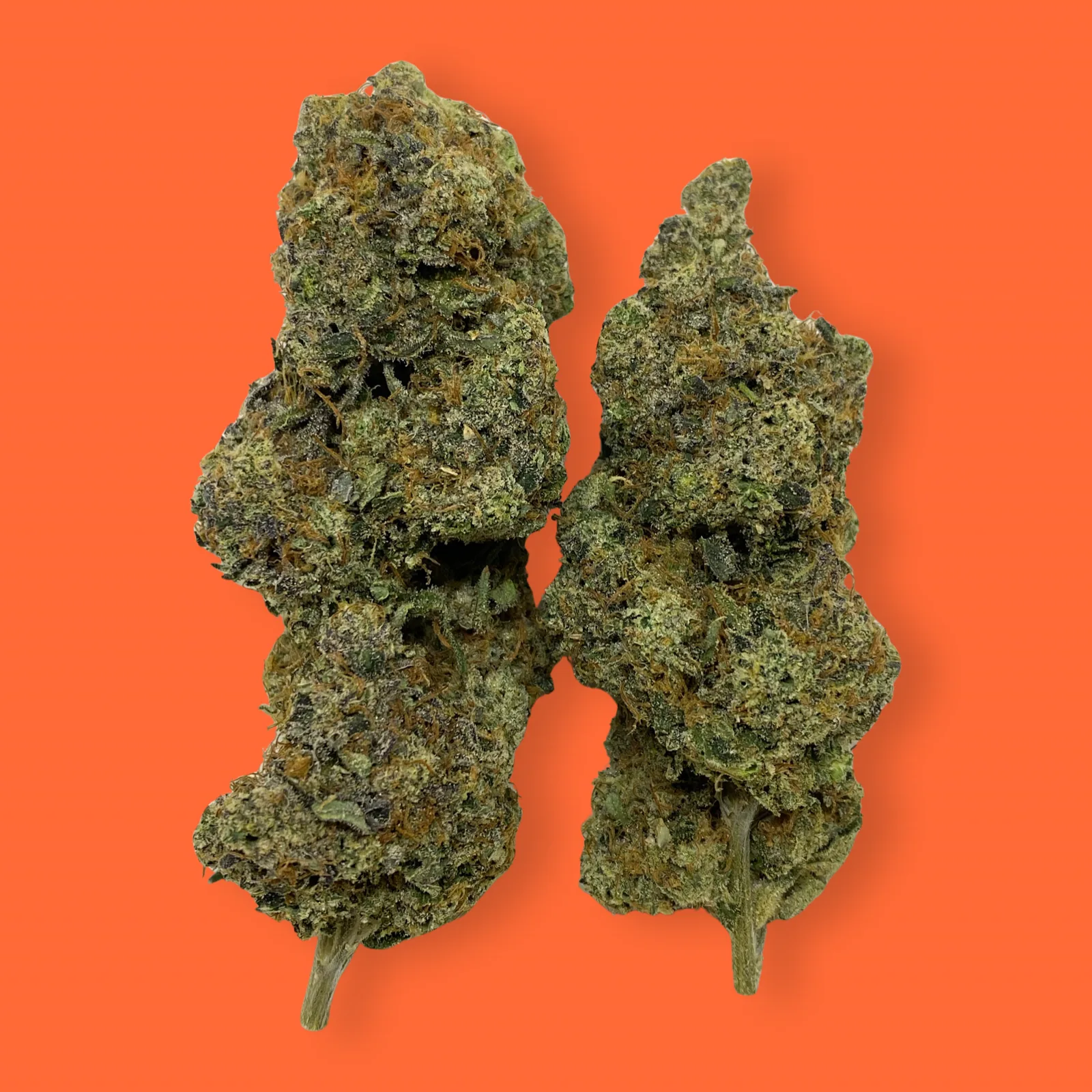 Chemdawg cannabis flower close-up – dense green buds with orange hairs and crystal trichomes