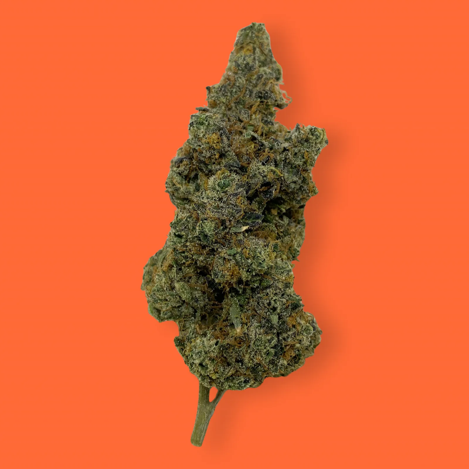 Chemdawg cannabis flower close-up – dense green buds with orange hairs and crystal trichomes