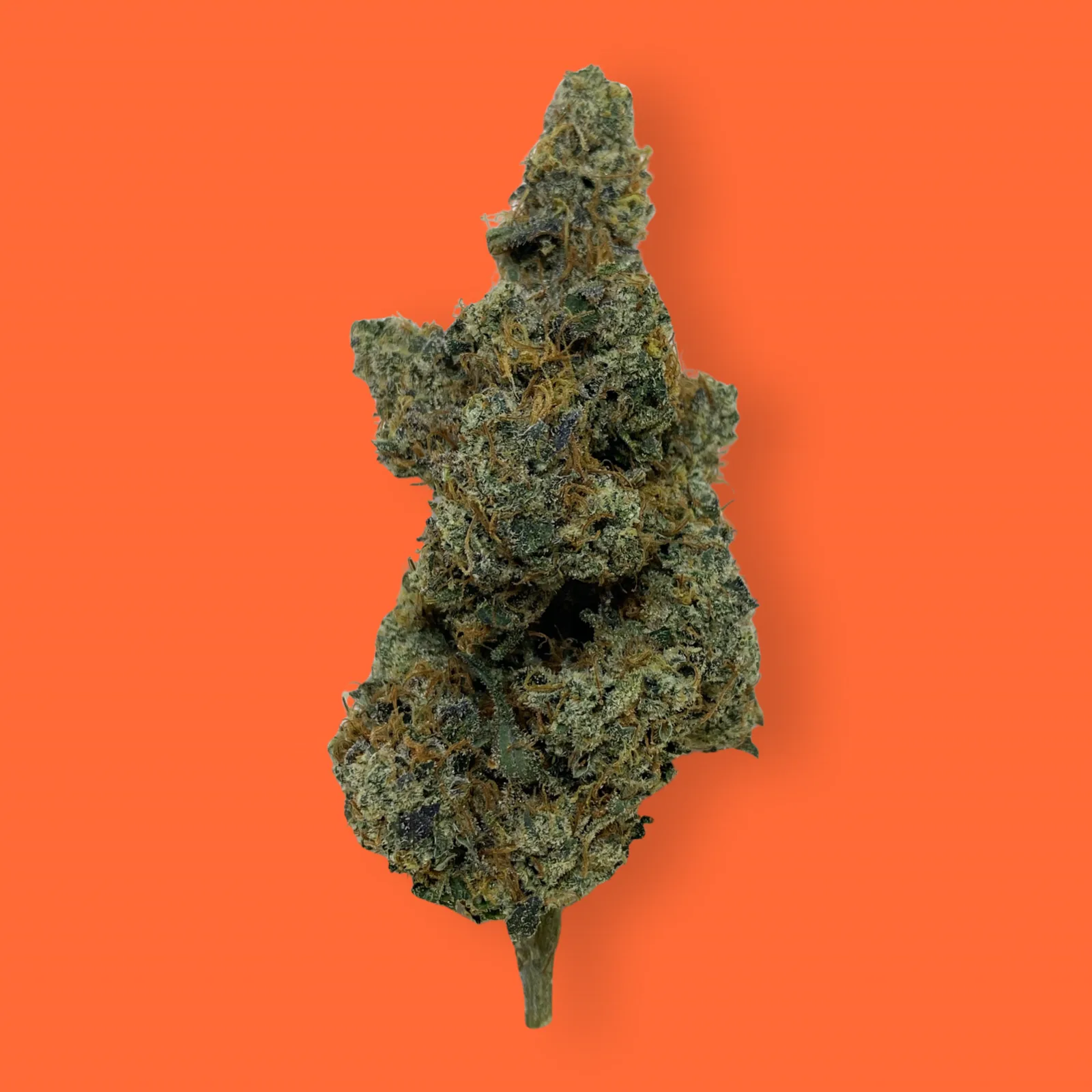 Chemdawg cannabis flower close-up – dense green buds with orange hairs and crystal trichomes