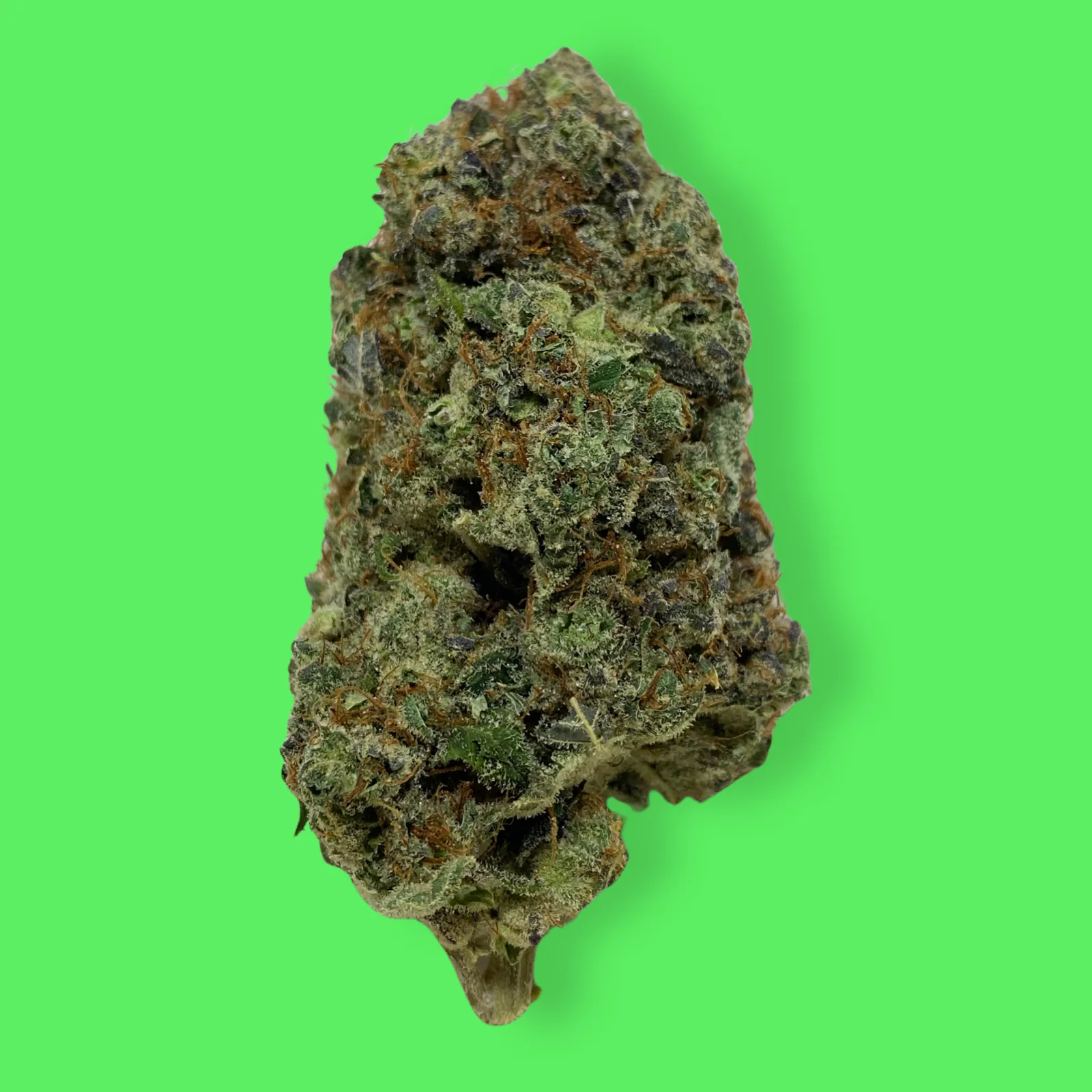 Sour Sniffits cannabis flower featuring frosty trichomes and vivid green and purple hues