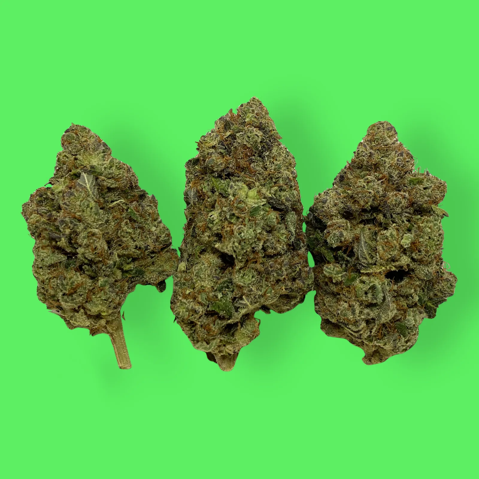 Sour Sniffits cannabis flower featuring frosty trichomes and vivid green and purple hues