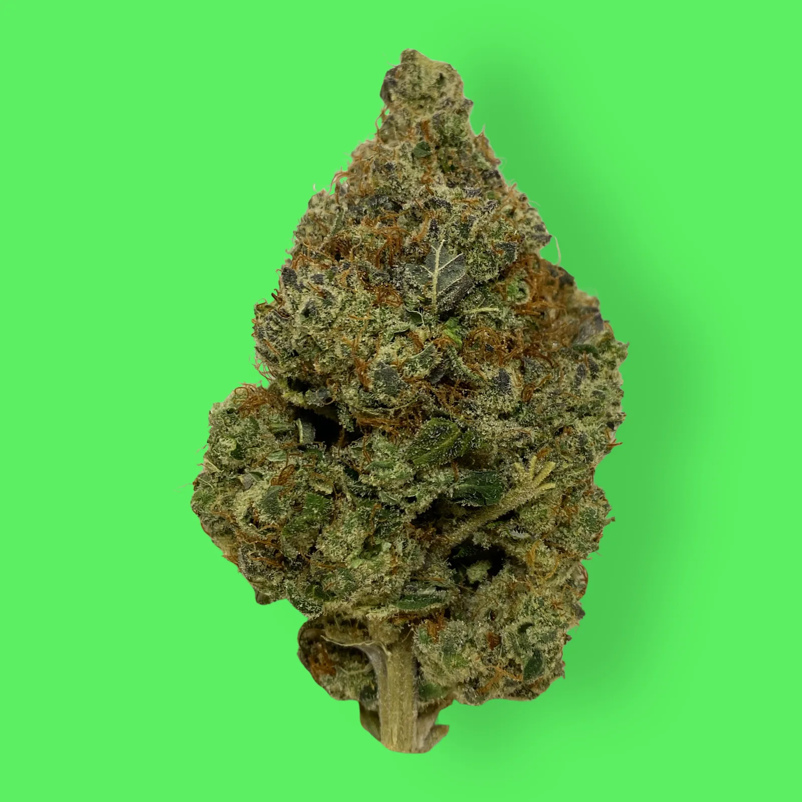Sour Sniffits cannabis flower featuring frosty trichomes and vivid green and purple hues