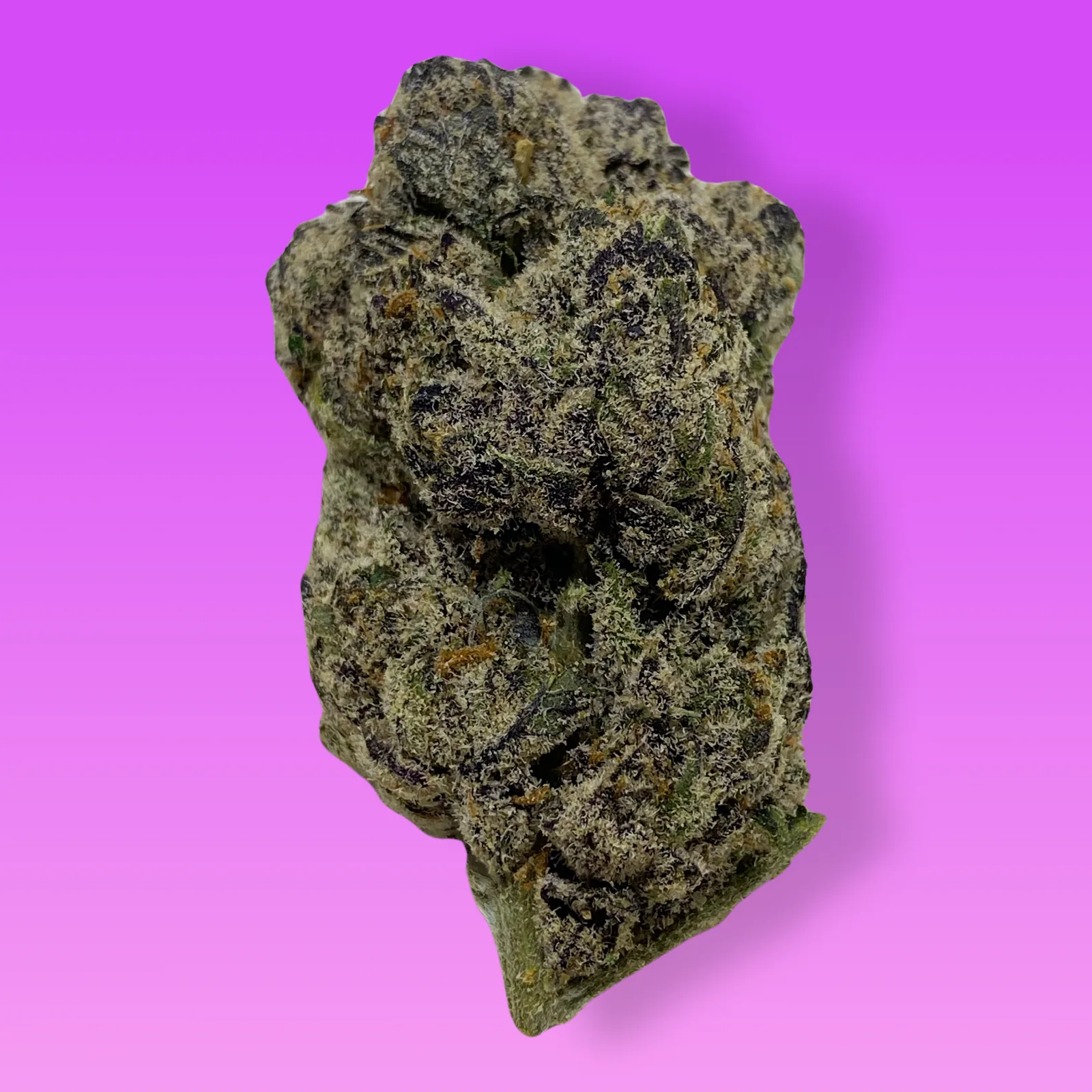 Grapicot cannabis buds featuring frosty trichomes and vibrant purple and orange tones