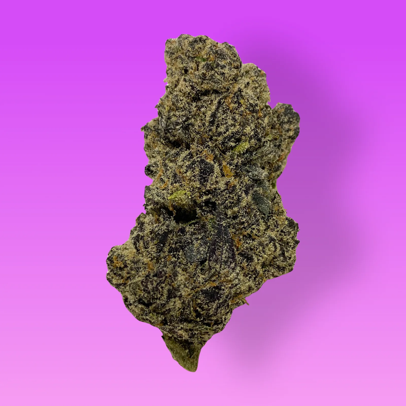 Grapicot cannabis buds featuring frosty trichomes and vibrant purple and orange tones