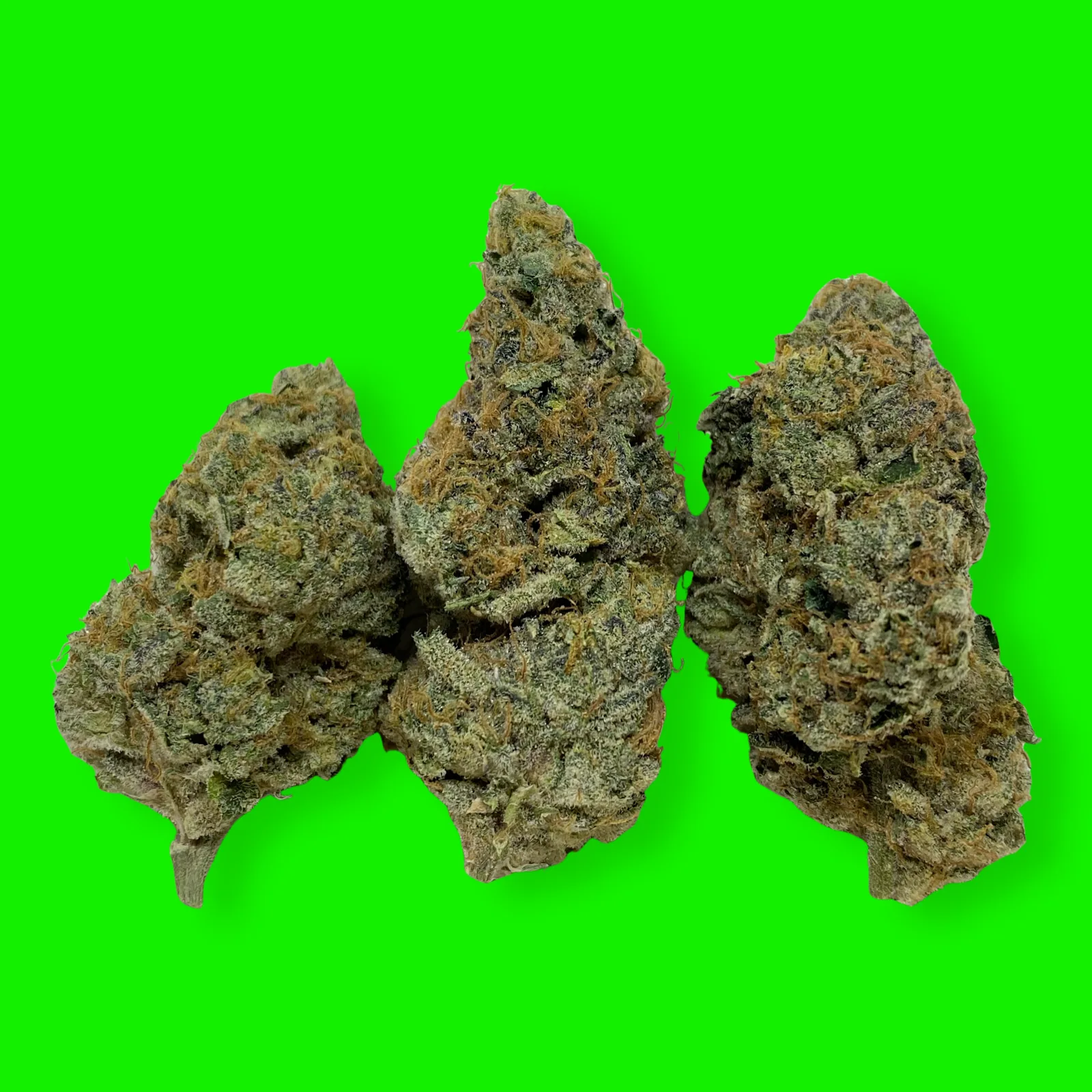 Macro photo of Watermelon Rancher cannabis flower with bright trichomes and colorful pistils