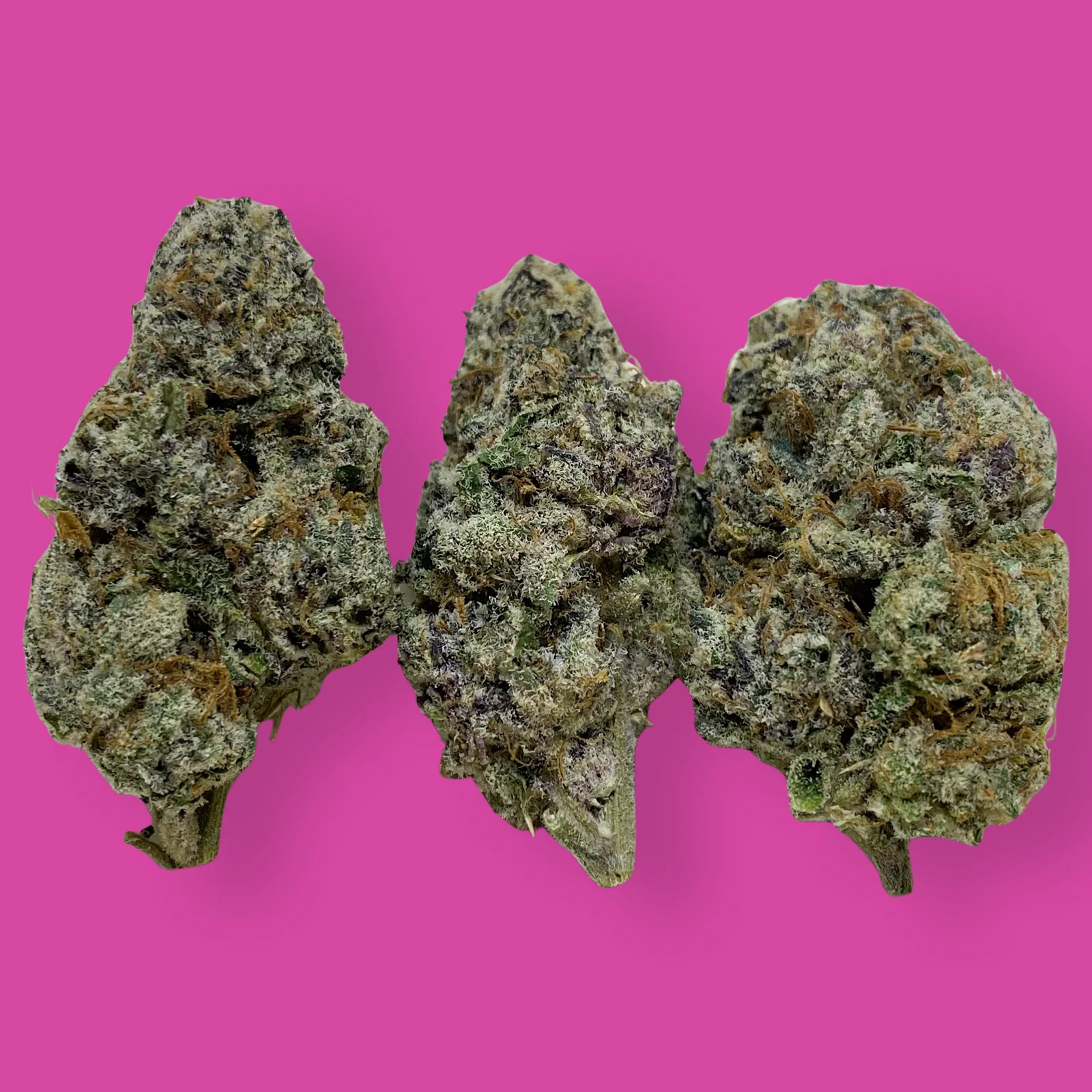 Close-up image of LA Wedding Pop cannabis buds with frosty trichomes and orange pistils