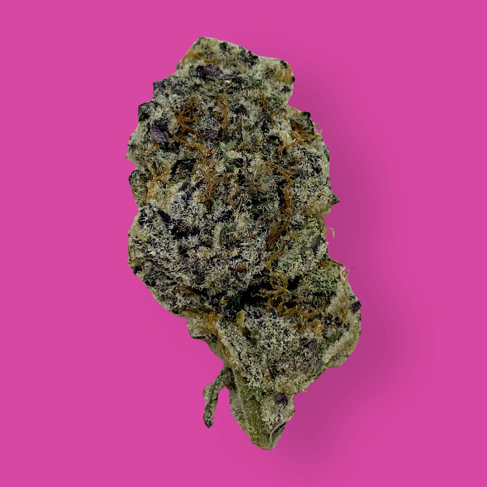 Close-up image of LA Wedding Pop cannabis buds with frosty trichomes and orange pistils