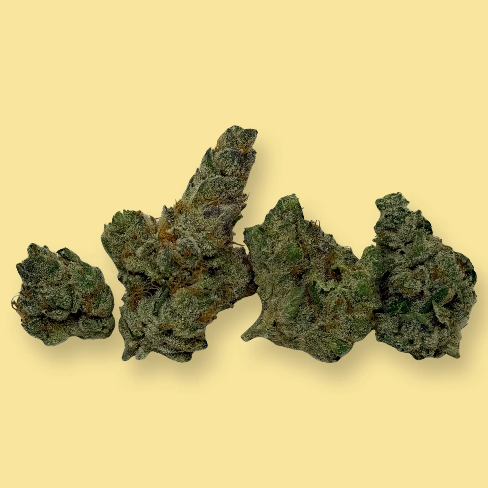 Close-up of Vanilla Cream Pie cannabis flower showing dense, frosty buds with vanilla-colored hairs and creamy white trichomes – hybrid strain from Baked in Bushwick.