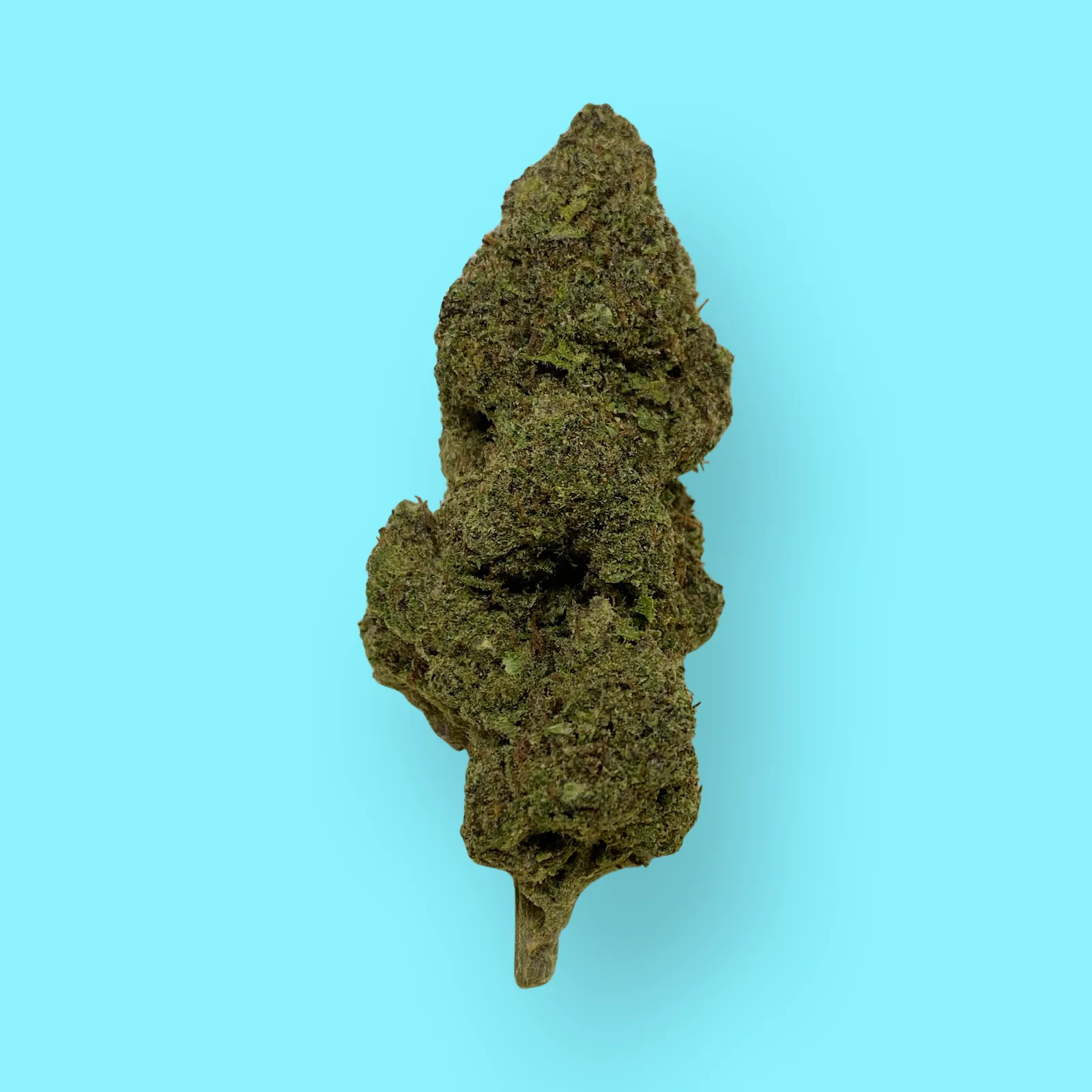 Bright green Hawaiian cannabis buds covered in orange pistils and crystal trichomes, known for tropical aroma and uplifting effects – available at Baked in Bushwick.