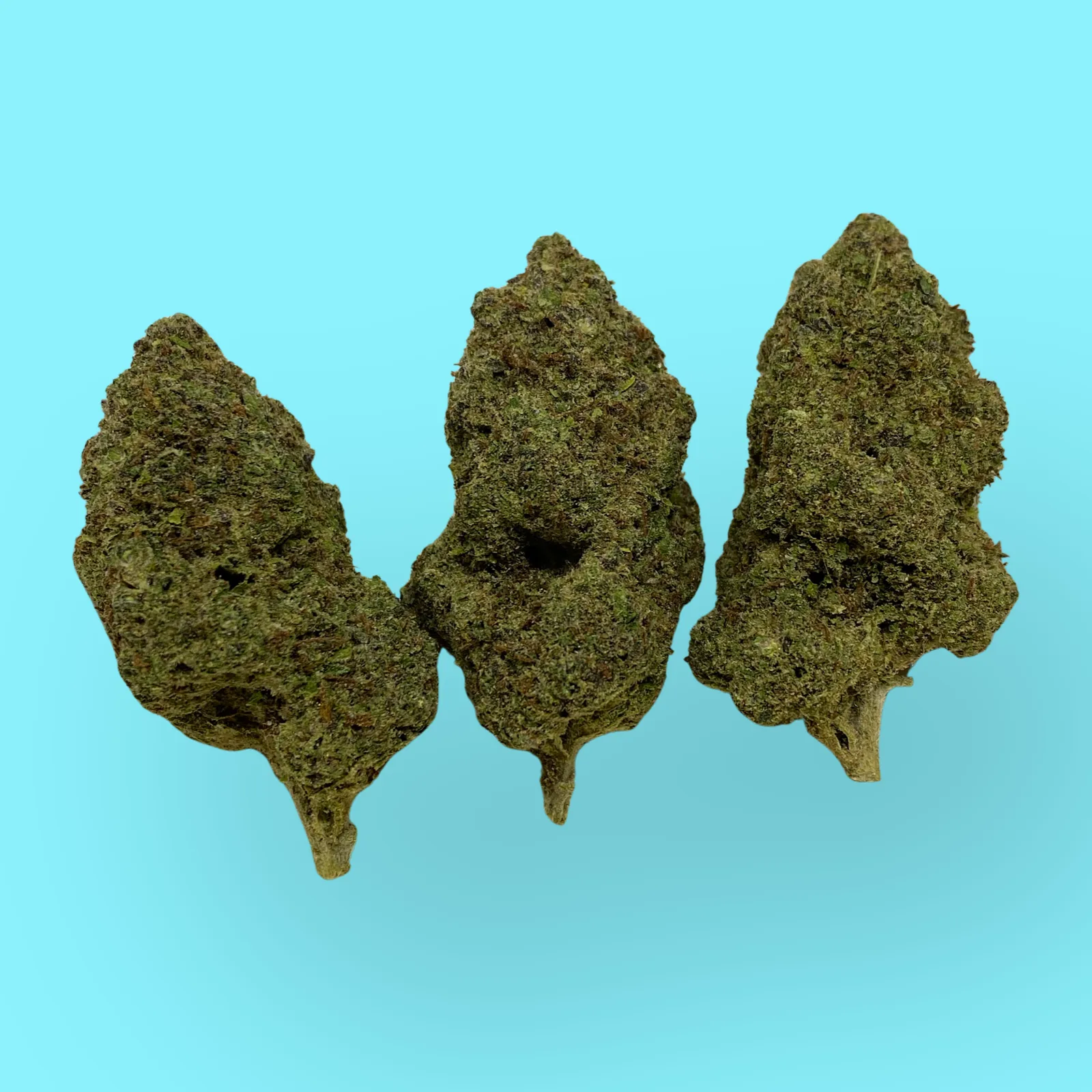 Bright green Hawaiian cannabis buds covered in orange pistils and crystal trichomes, known for tropical aroma and uplifting effects – available at Baked in Bushwick.