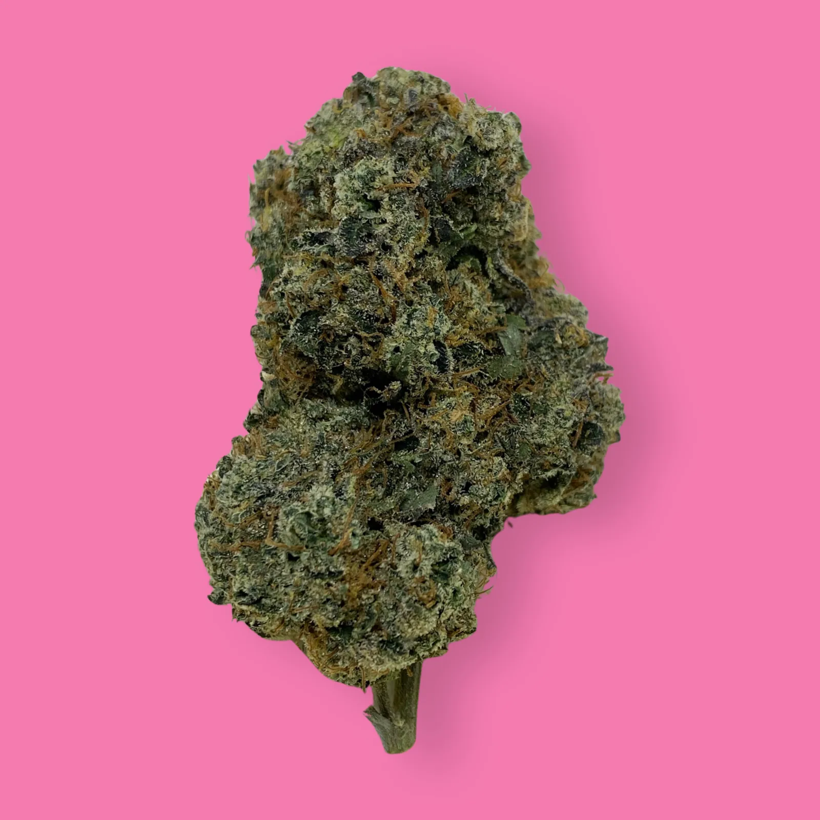 Close-up of Bubbledawg cannabis flower showcasing frosty trichomes, dense green buds, and orange hairs – a gassy hybrid strain available at Baked in Bushwick.