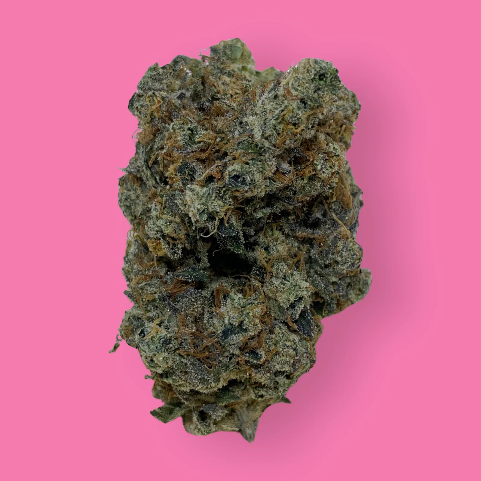 Close-up of Bubbledawg cannabis flower showcasing frosty trichomes, dense green buds, and orange hairs – a gassy hybrid strain available at Baked in Bushwick.