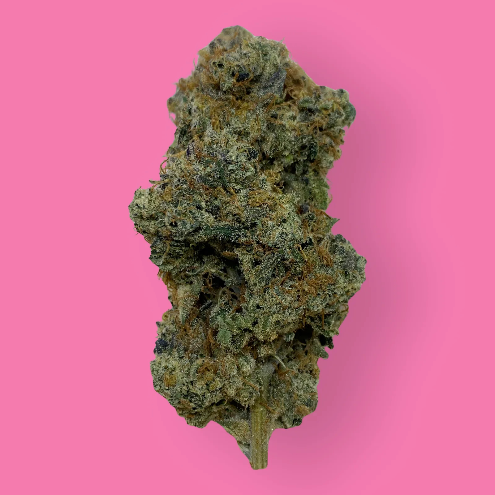 Close-up of Bubbledawg cannabis flower showcasing frosty trichomes, dense green buds, and orange hairs – a gassy hybrid strain available at Baked in Bushwick.