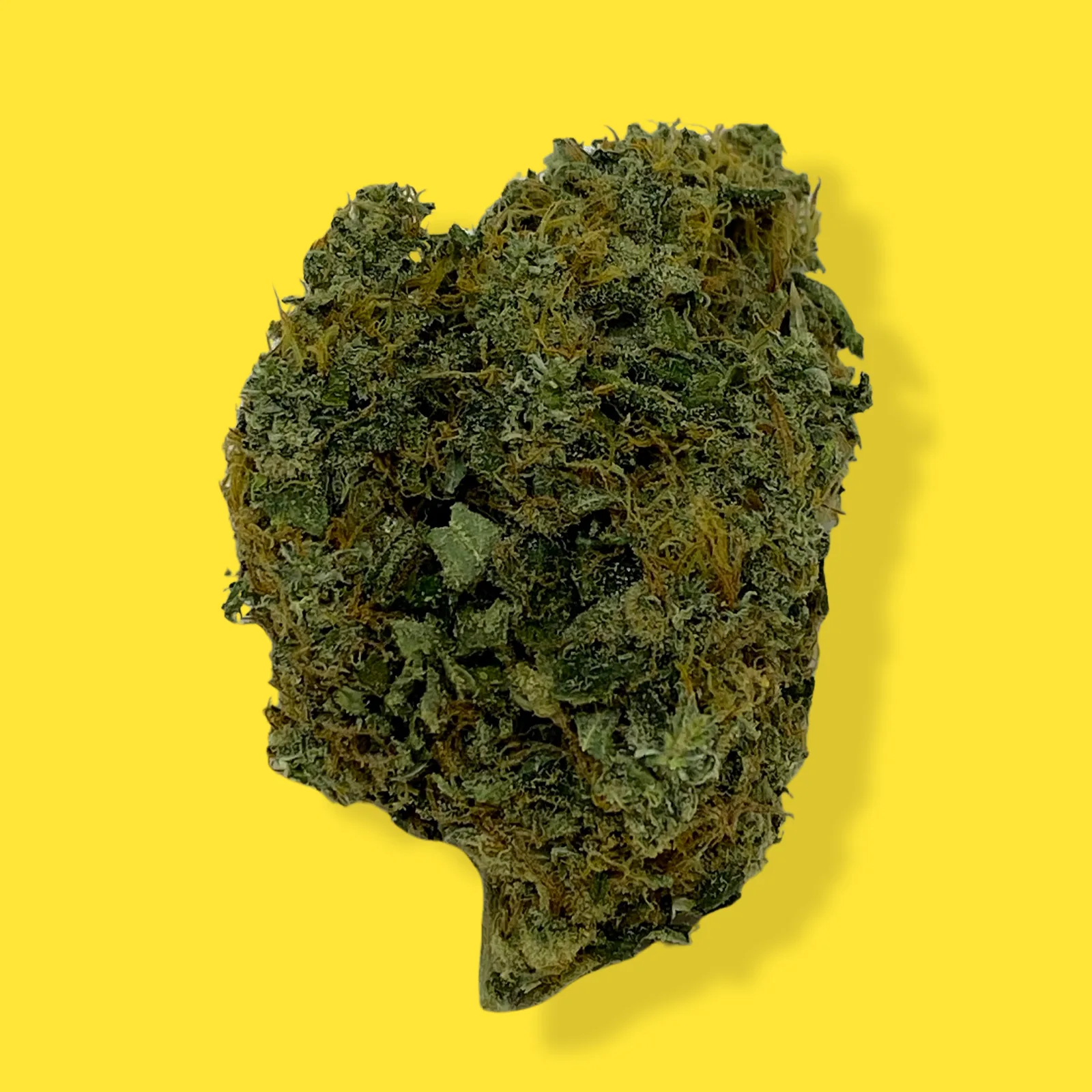 Close-up of Pineapple Haze cannabis flower – light green bud with orange hairs and frosty trichomes, known for sweet tropical aroma and uplifting effects