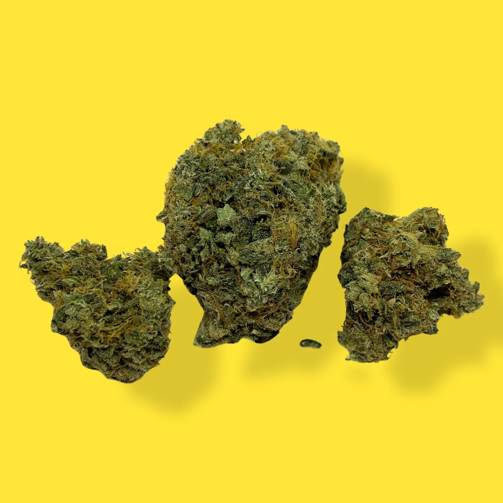 Close-up of Pineapple Haze cannabis flower – light green bud with orange hairs and frosty trichomes, known for sweet tropical aroma and uplifting effects