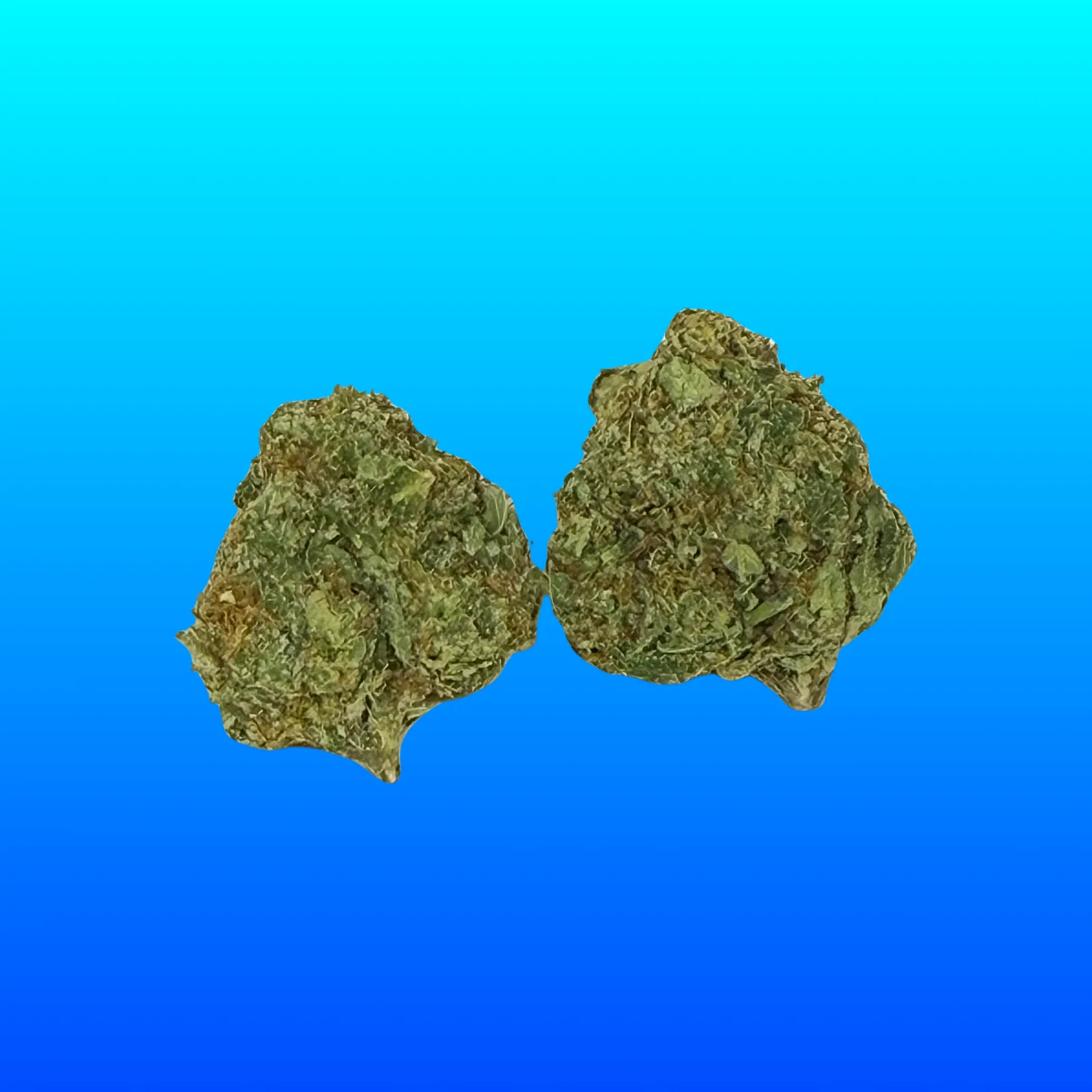 Macro photo of Frosty OG cannabis buds featuring heavy trichomes, dense structure, and icy green tones – potent indica strain available at Baked in Bushwick.