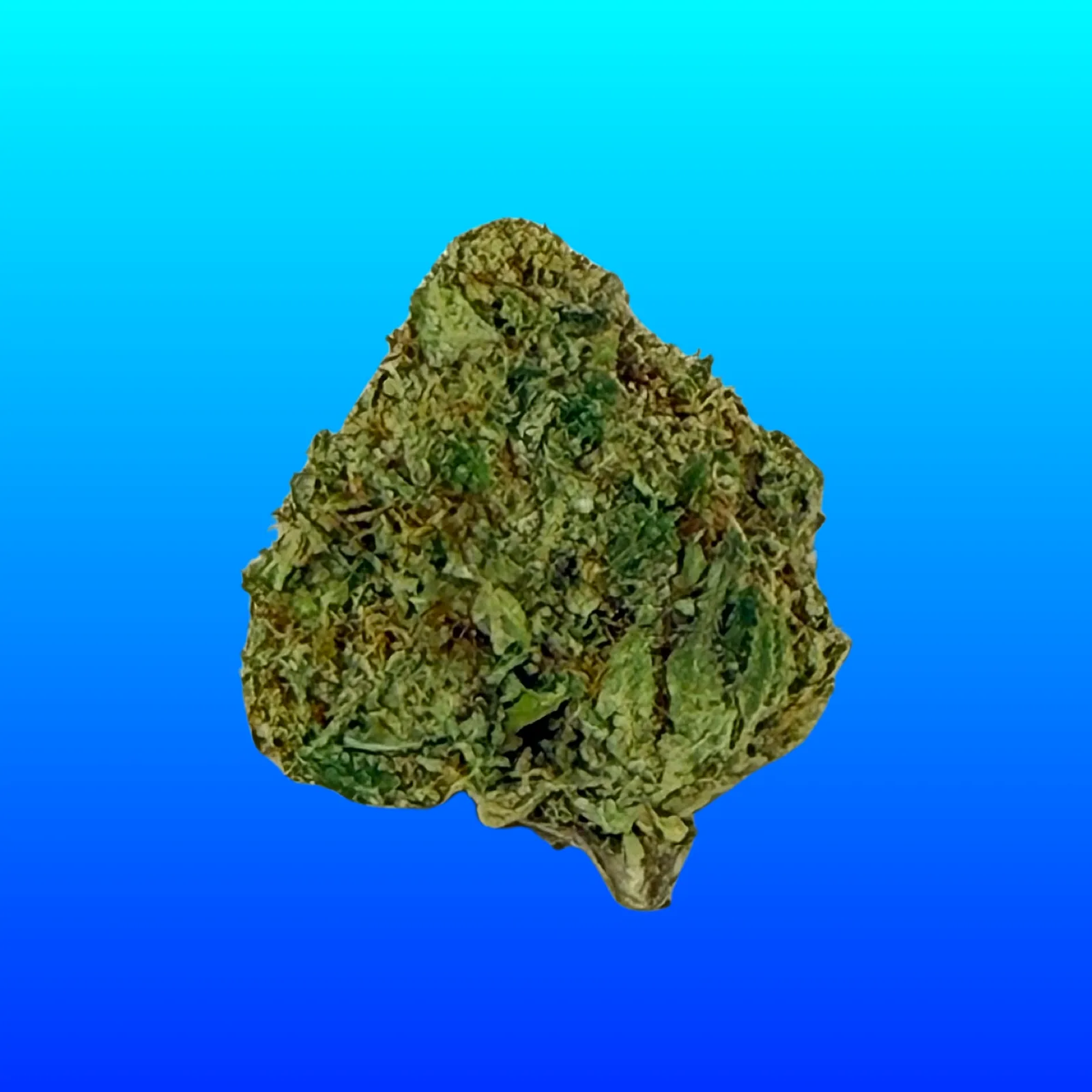 Macro photo of Frosty OG cannabis buds featuring heavy trichomes, dense structure, and icy green tones – potent indica strain available at Baked in Bushwick.