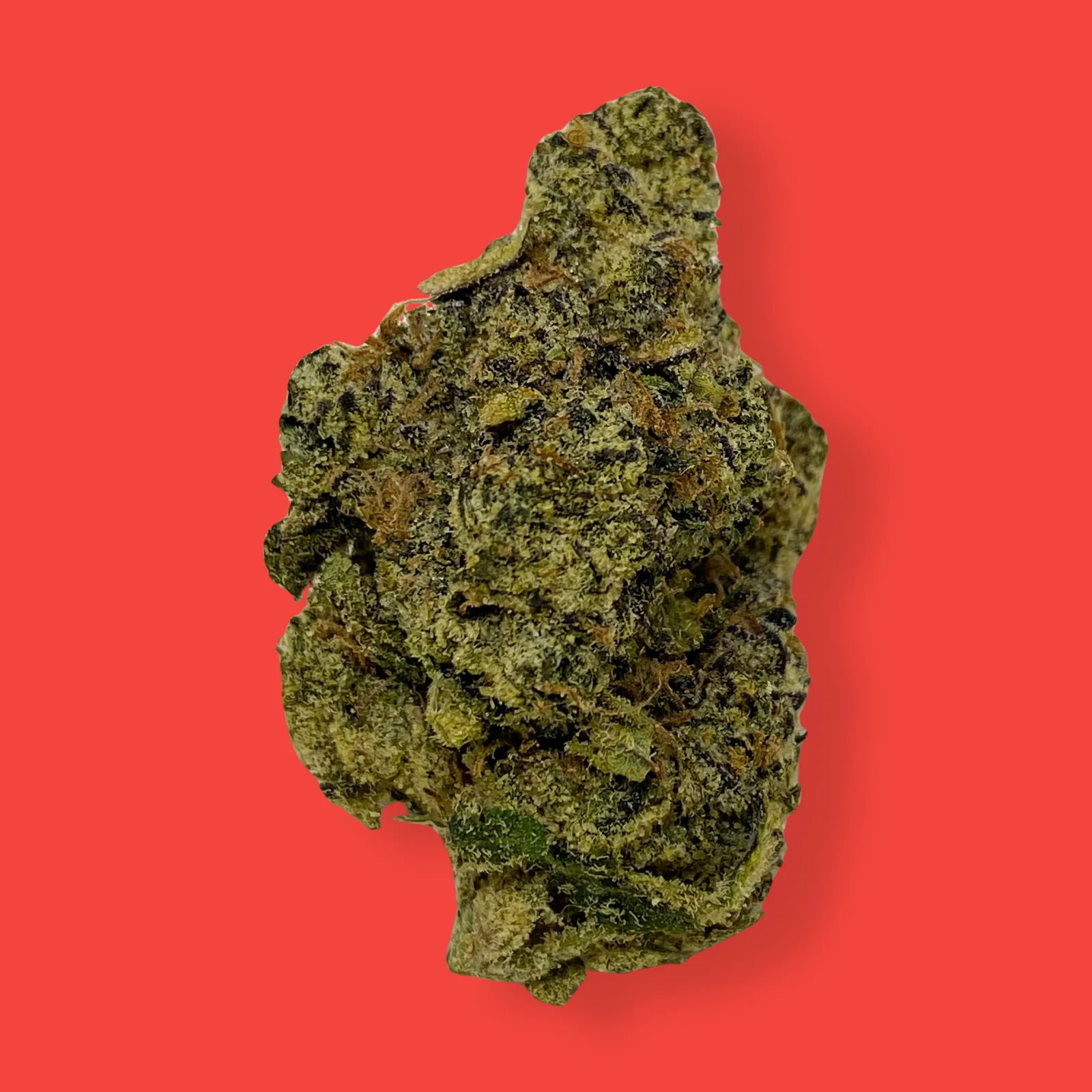 Close-up of Lemonberry cannabis buds featuring bright green hues, orange hairs, and frosty trichomes, representing the sativa-leaning hybrid strain.