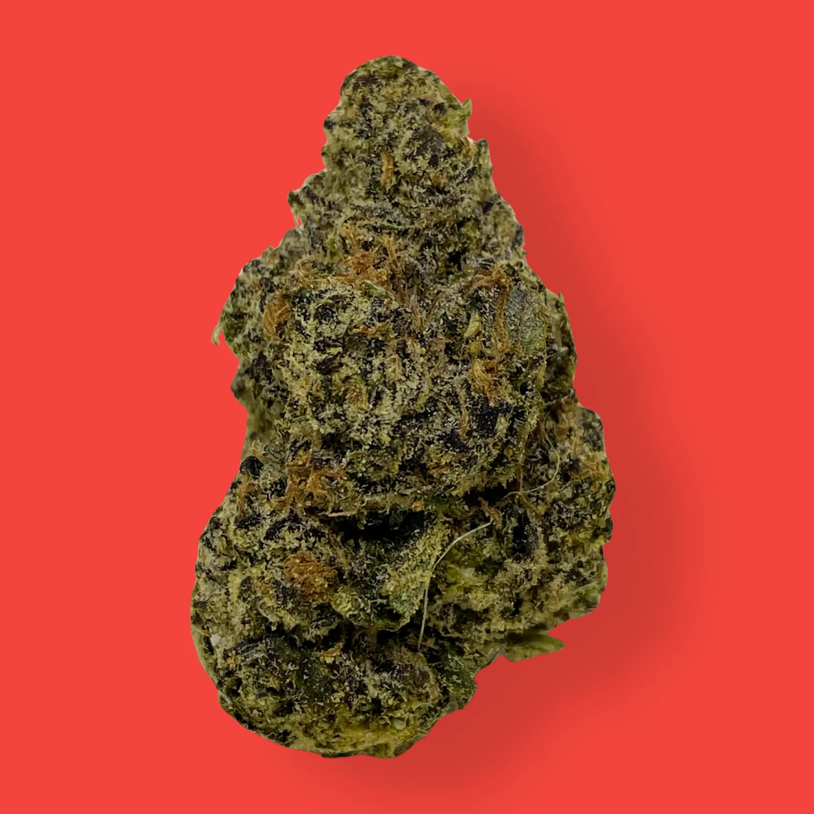 Close-up of Lemonberry cannabis buds featuring bright green hues, orange hairs, and frosty trichomes, representing the sativa-leaning hybrid strain.