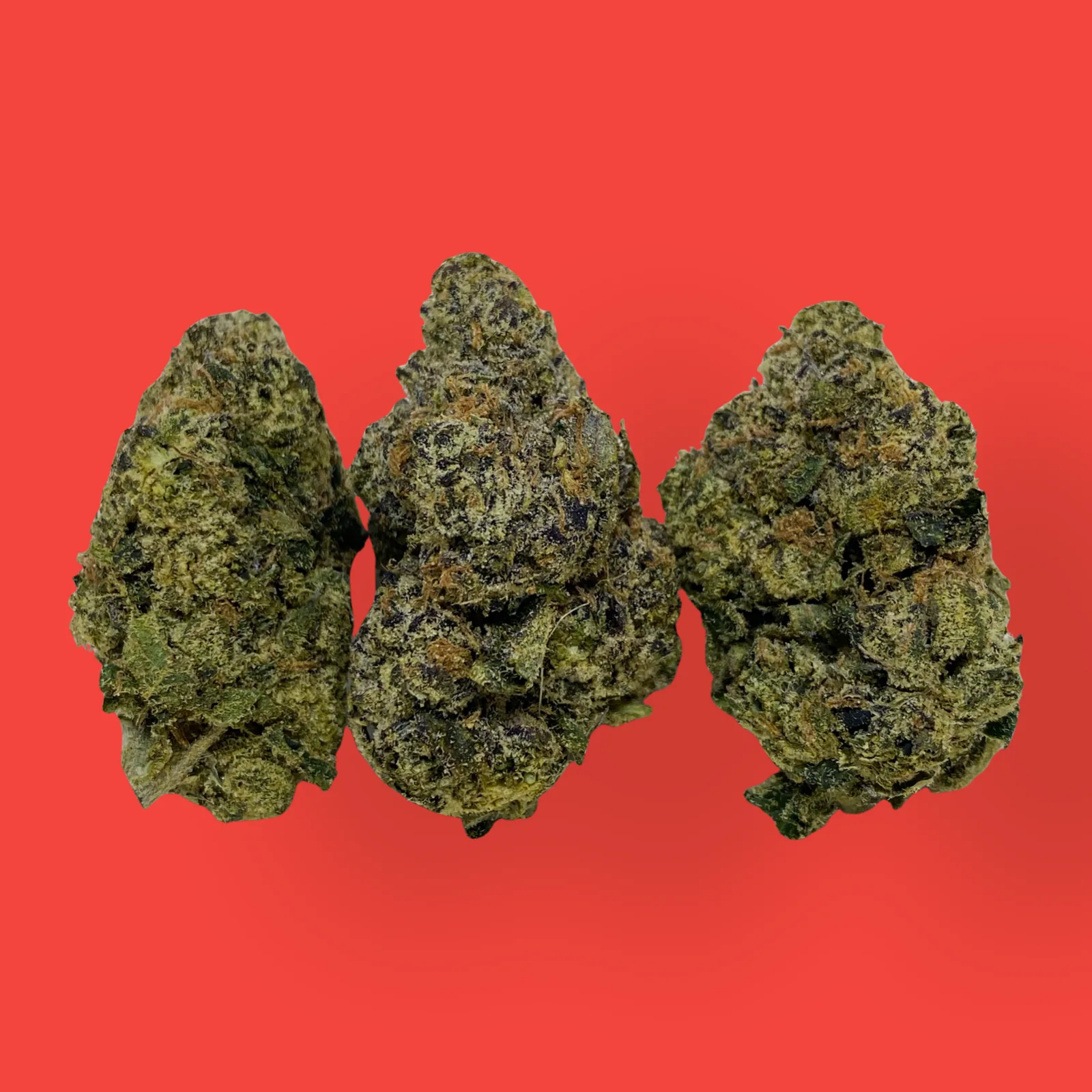 Close-up of Lemonberry cannabis buds featuring bright green hues, orange hairs, and frosty trichomes, representing the sativa-leaning hybrid strain.