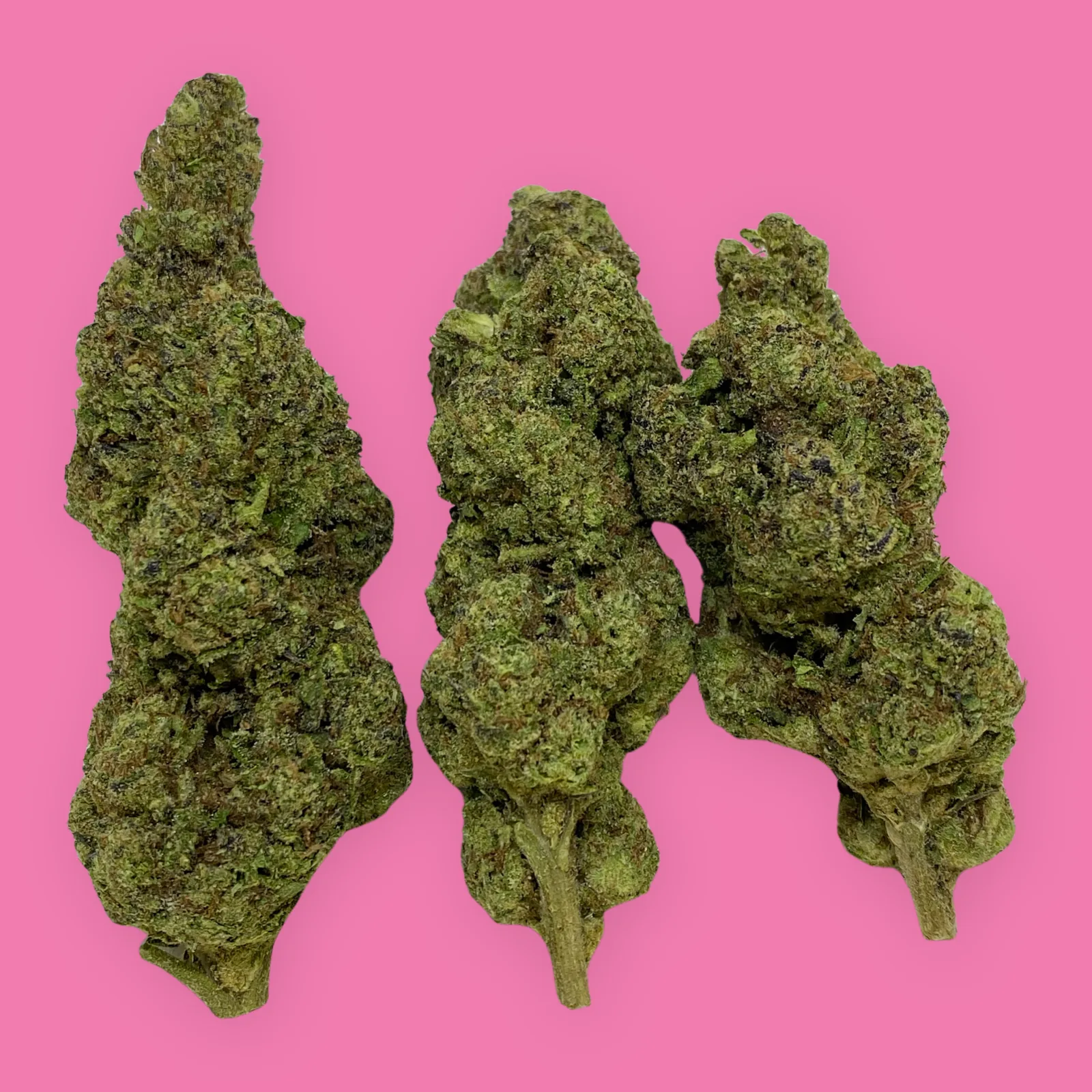 Double Bubble cannabis strain flower – dense, frosty green bud with purple hues and orange hairs