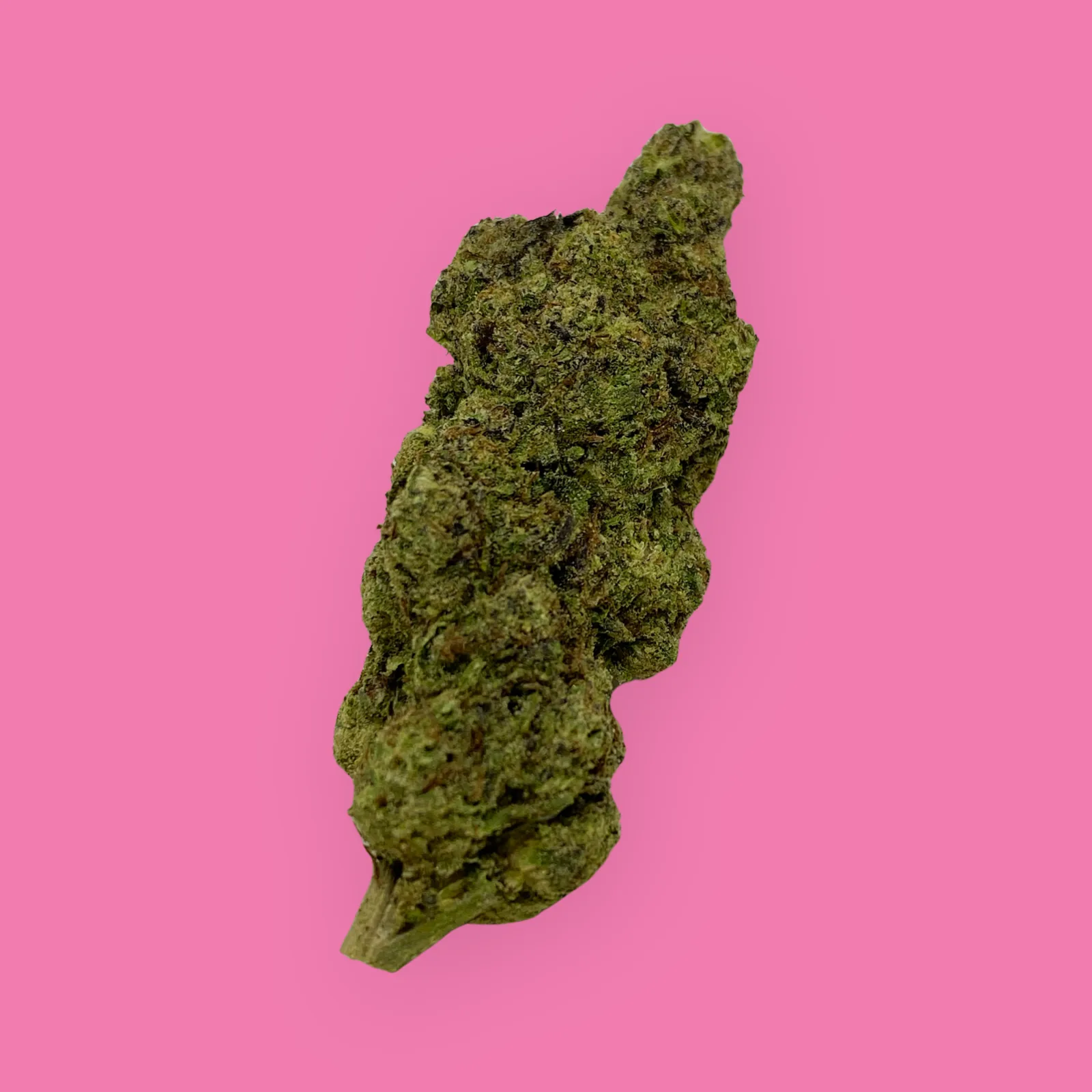 Double Bubble cannabis strain flower – dense, frosty green bud with purple hues and orange hairs