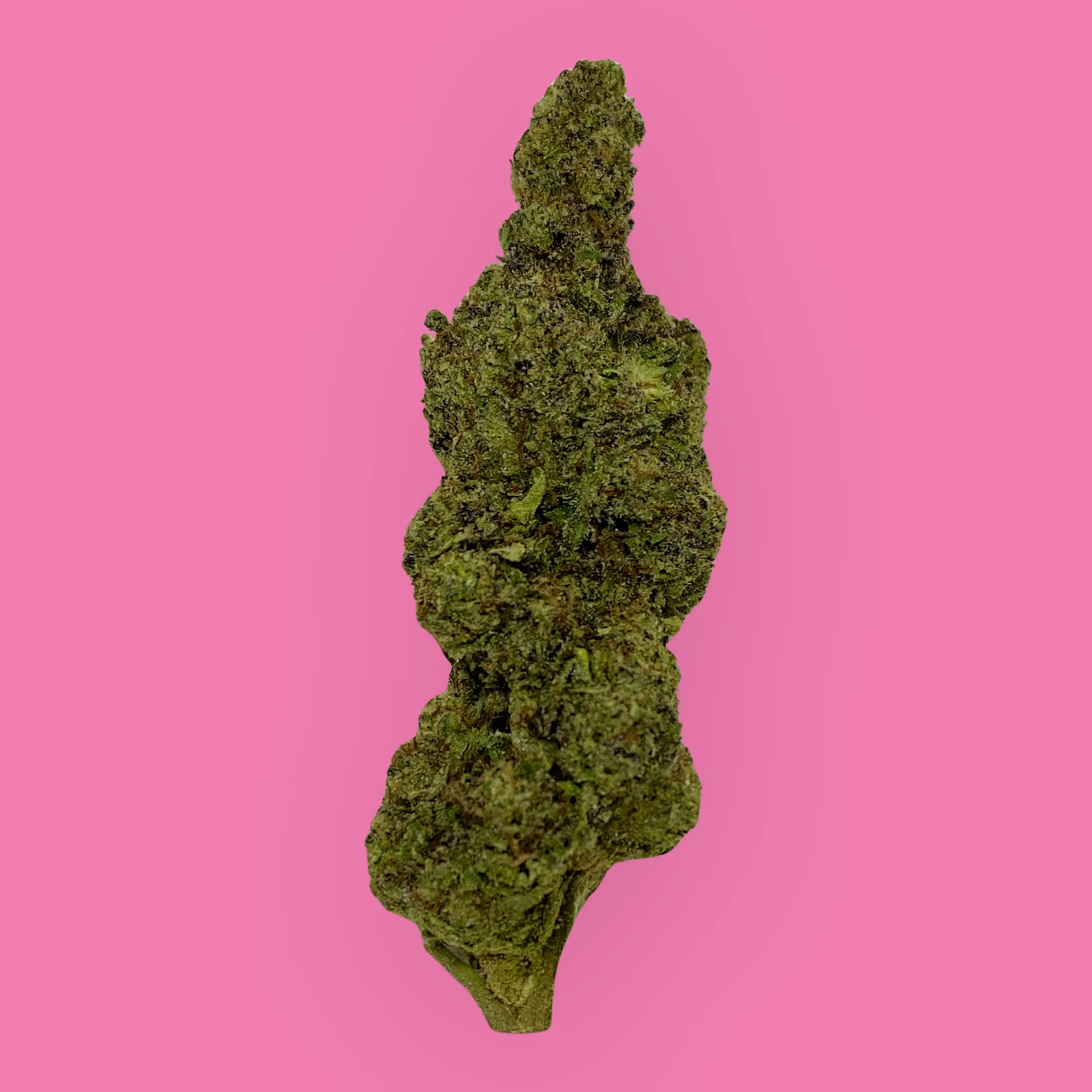 Double Bubble cannabis strain flower – dense, frosty green bud with purple hues and orange hairs