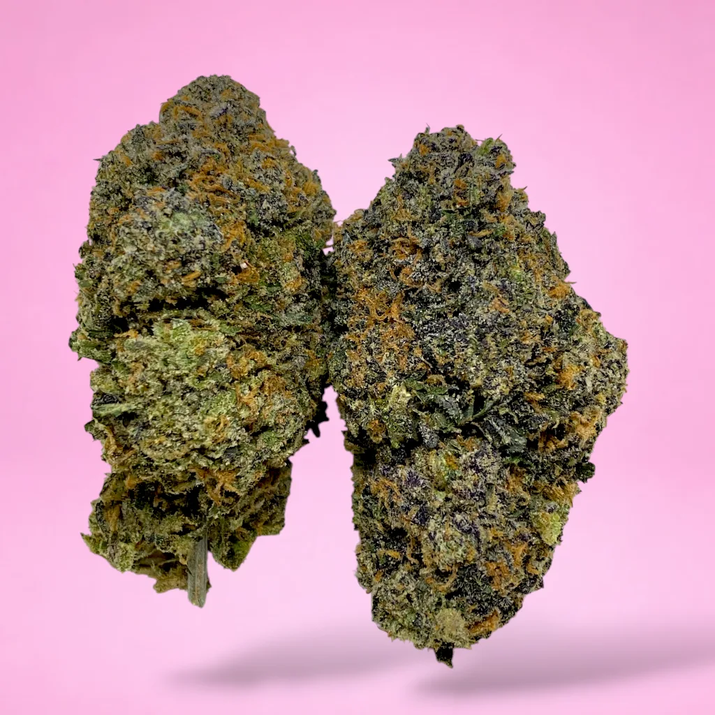 blue lobster cannabis strain deep blue purple buds orange pistils white trichomes