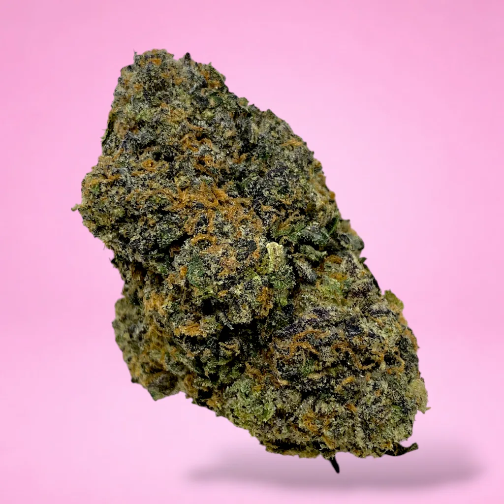 blue lobster cannabis strain deep blue purple buds orange pistils white trichomes