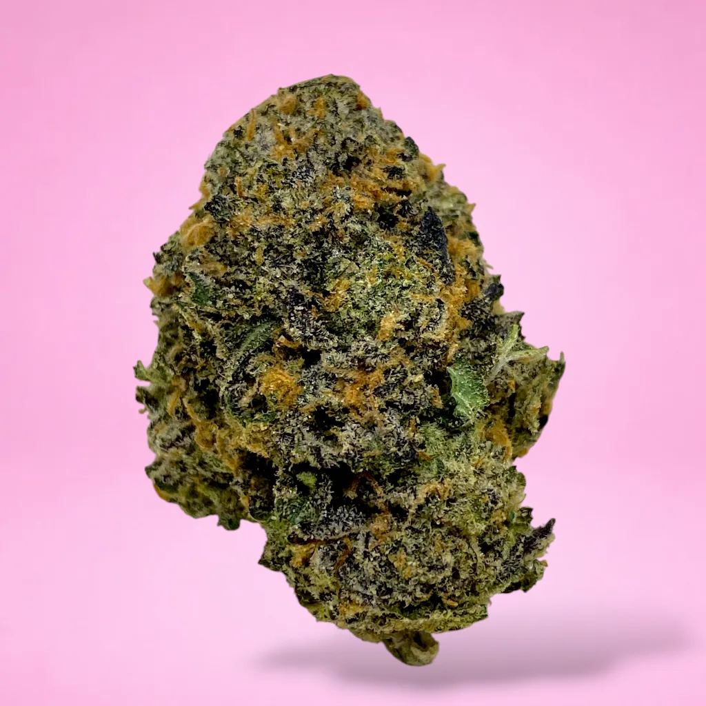 blue lobster cannabis strain deep blue purple buds orange pistils white trichomes
