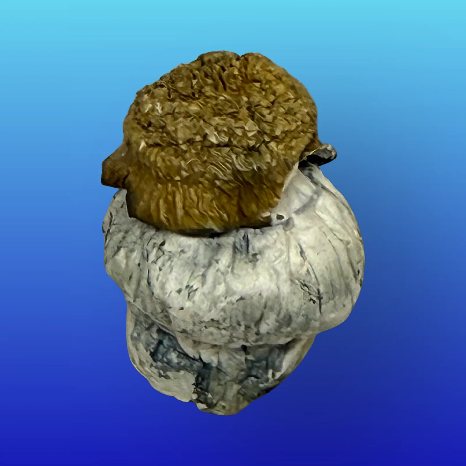 Dried Blue Meanies psilocybin mushrooms with bruised blue coloration and wavy caps