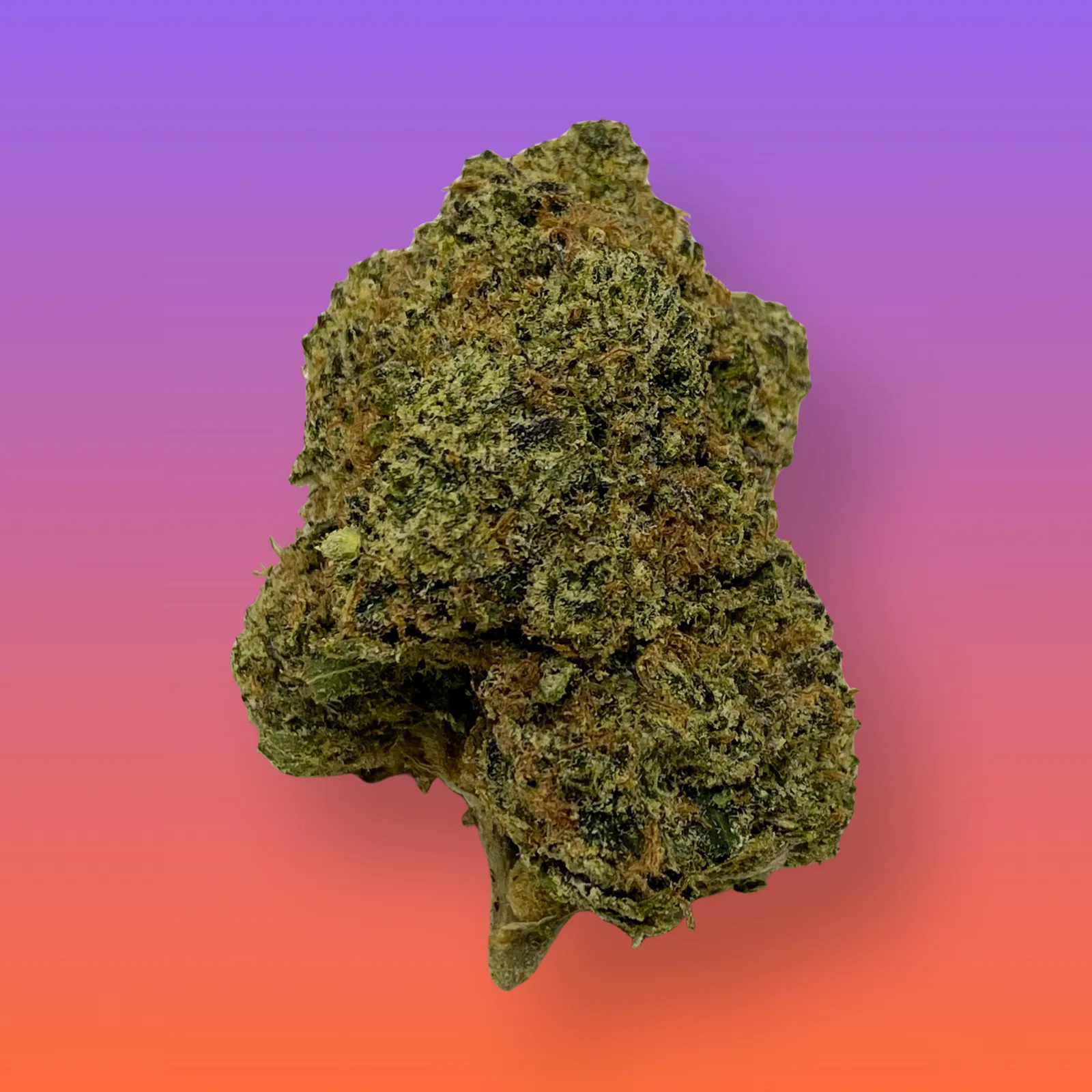 Close-up of White Nerds cannabis strain featuring frosty trichomes and vibrant hues