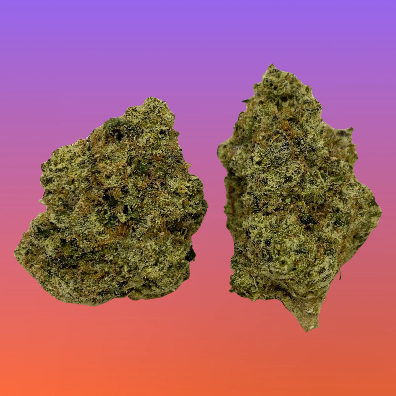 Close-up of White Nerds cannabis strain featuring frosty trichomes and vibrant hues