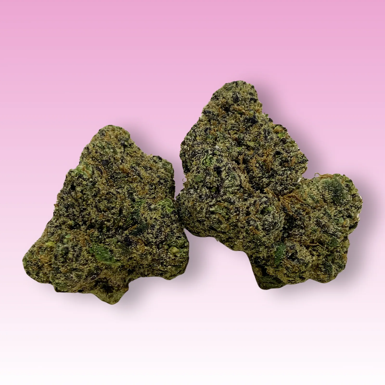 Tokyo Gumdrop cannabis strain buds — candy sweet, colorful hybrid