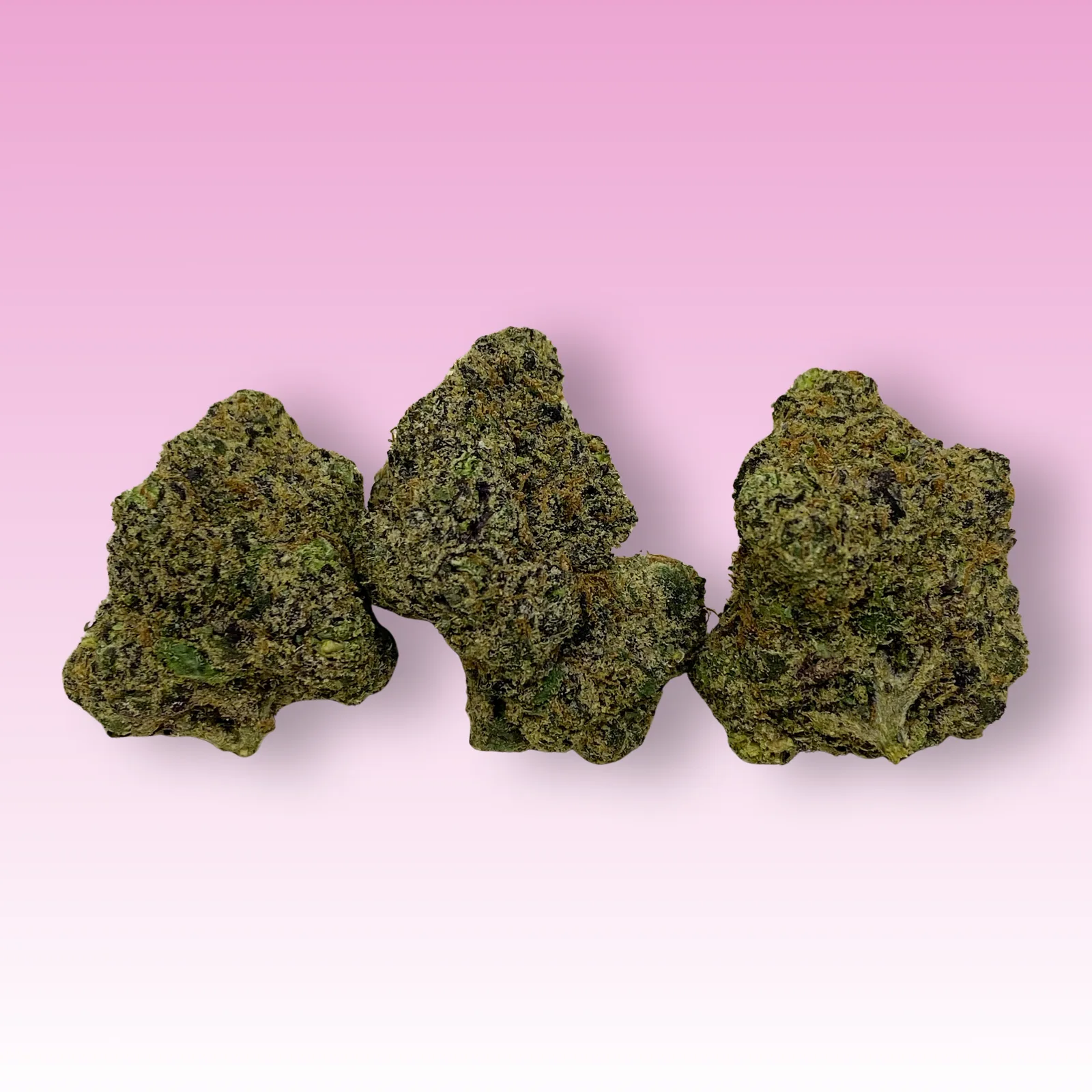 Tokyo Gumdrop cannabis strain buds — candy sweet, colorful hybrid