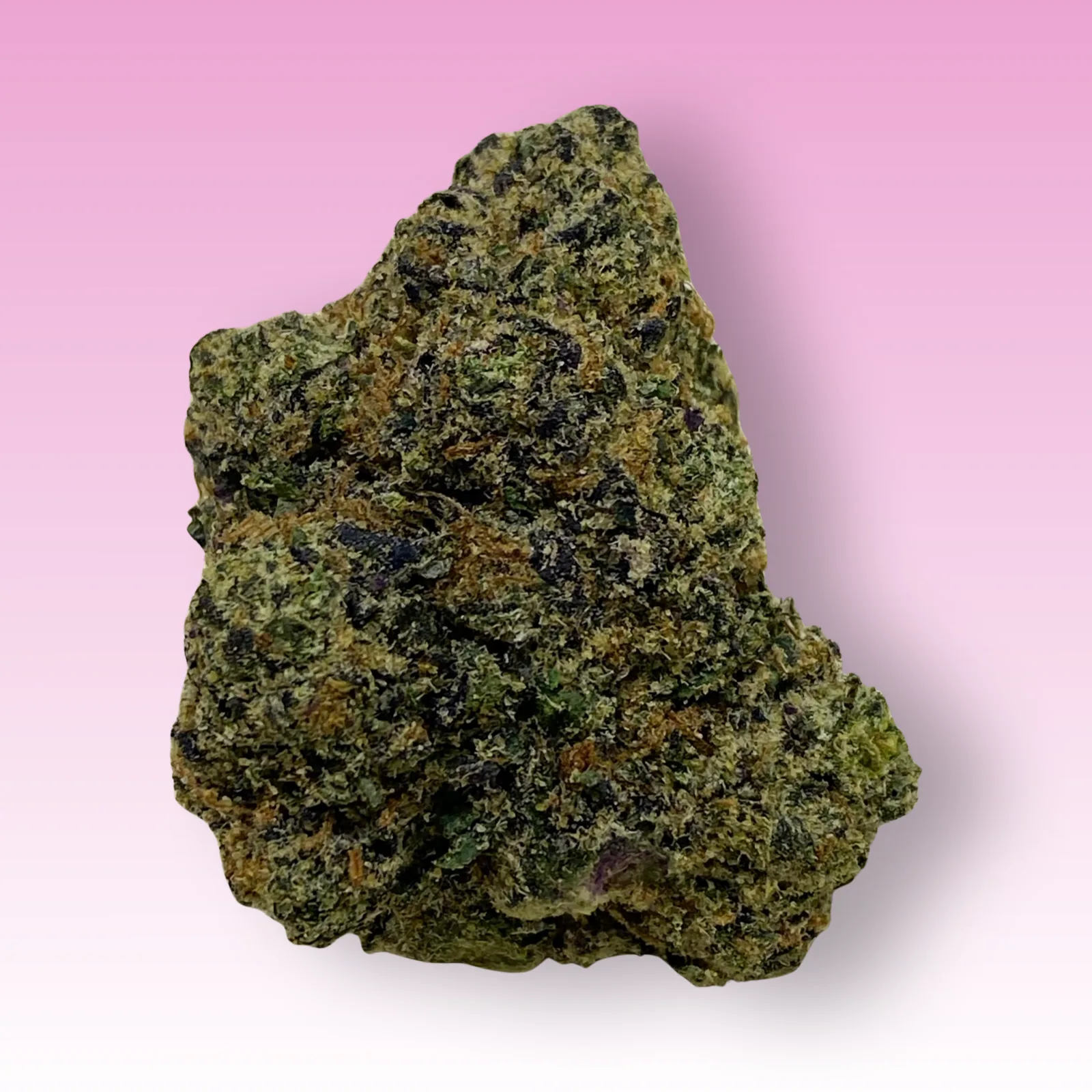Tokyo Gumdrop cannabis strain buds — candy sweet, colorful hybrid