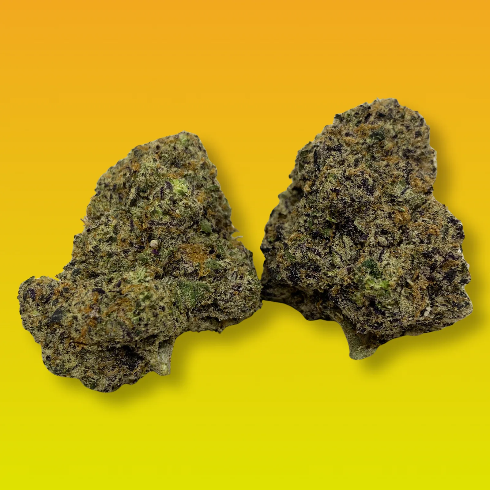 Lucky Charms cannabis strain buds with fruity terpene profile