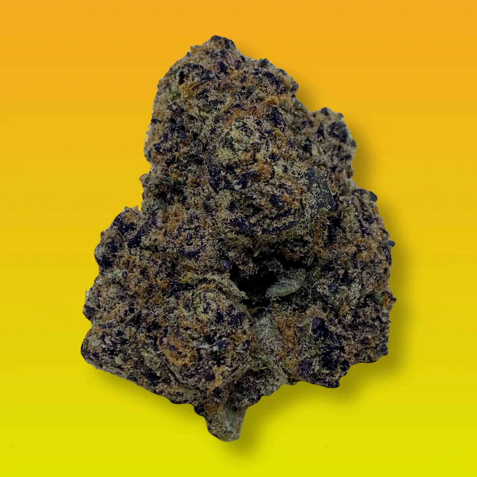 Lucky Charms cannabis strain buds with fruity terpene profile