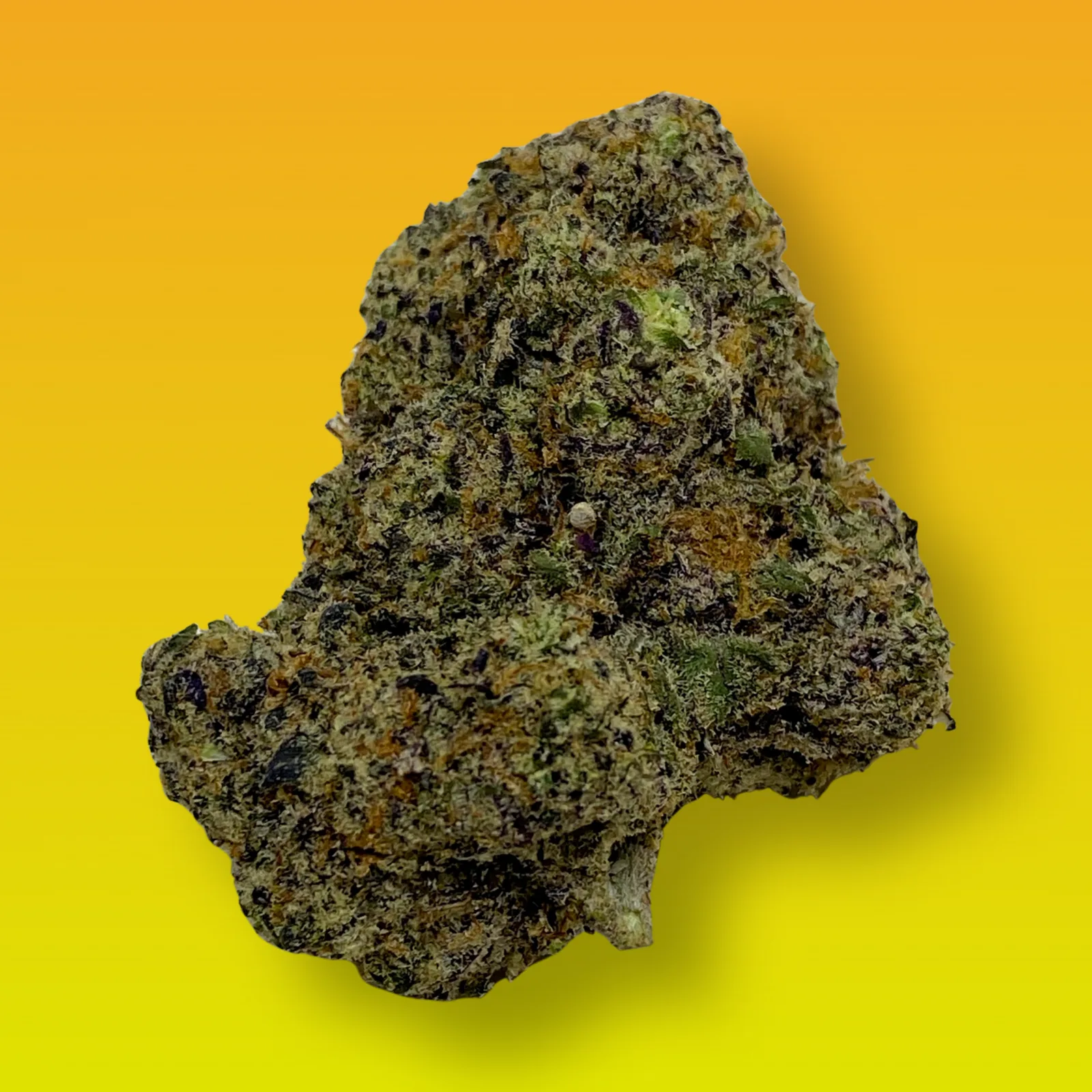 Lucky Charms cannabis strain buds with fruity terpene profile