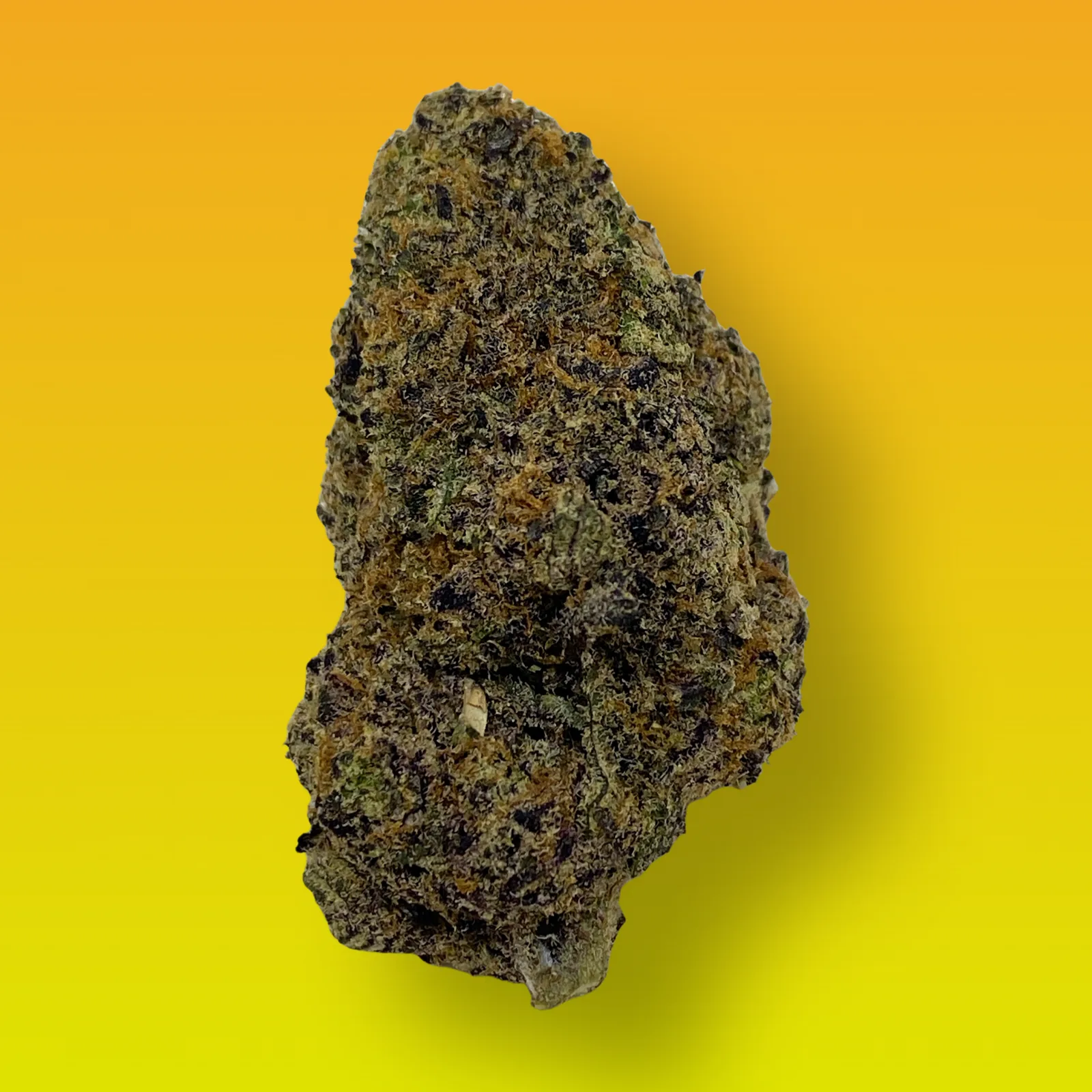 Lucky Charms cannabis strain buds with fruity terpene profile