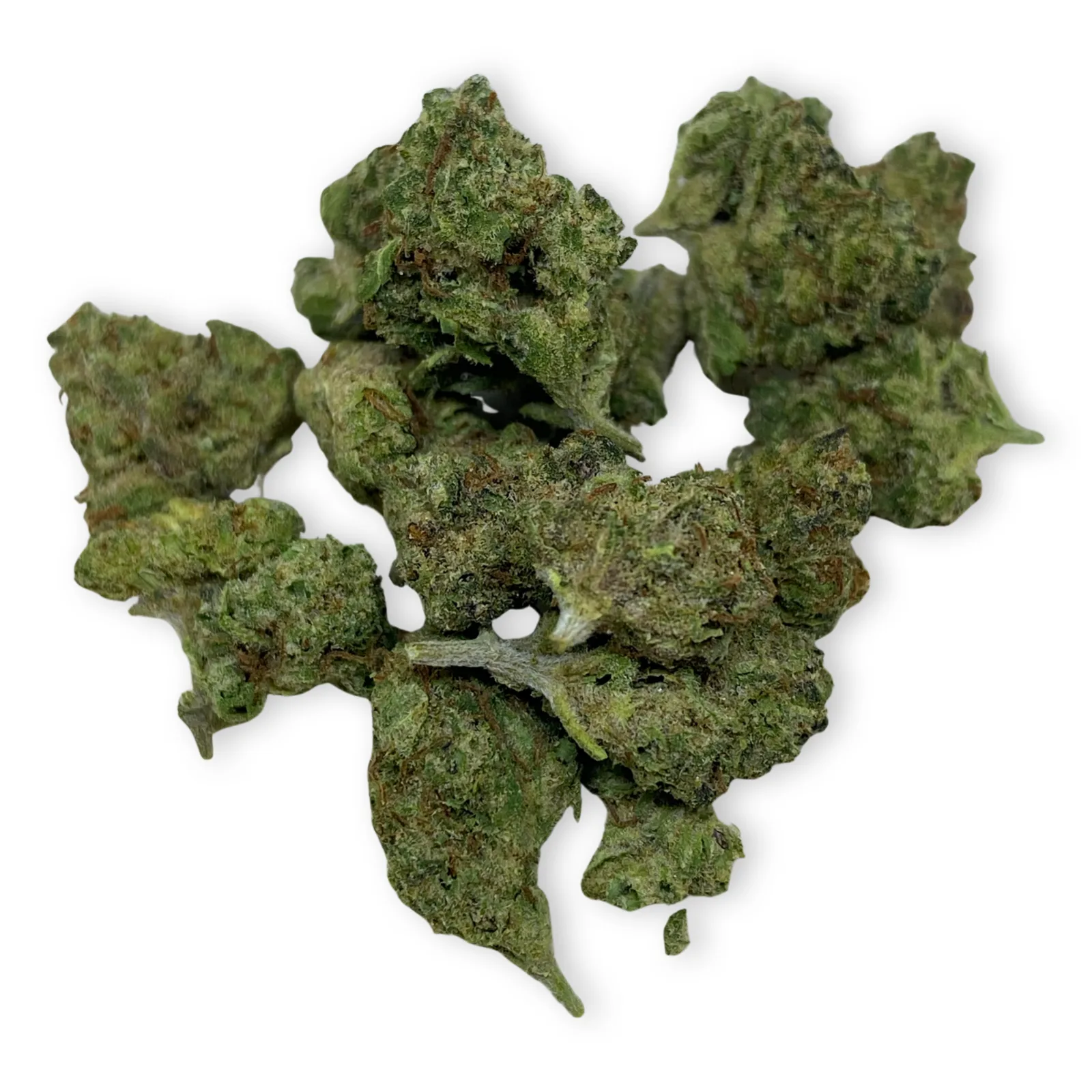 Green Apple OG cannabis strain buds with bright green hues and apple aroma