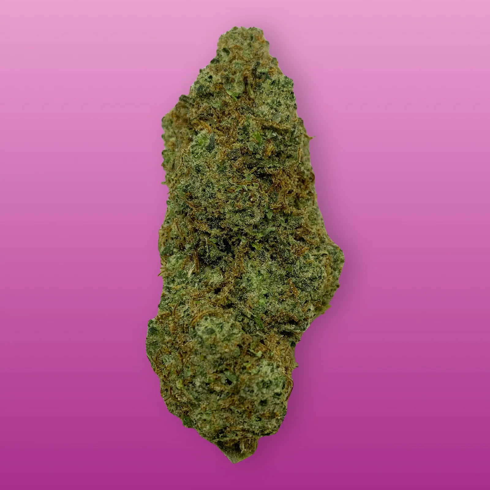 Lavender Haze cannabis strain buds with floral lavender aroma
