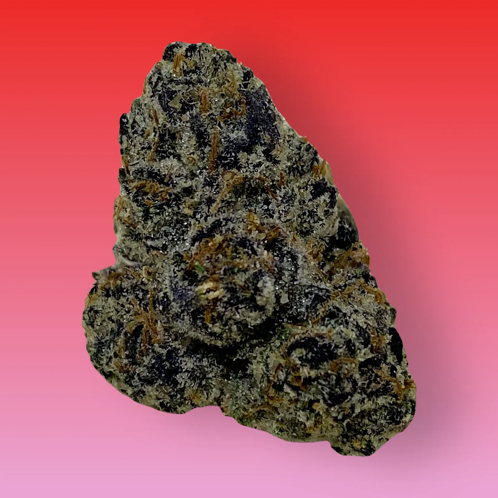 41 Cherries cannabis strain buds with sweet cherry aroma