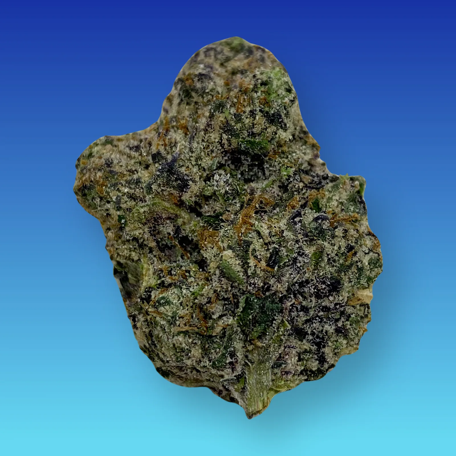 Warhead cannabis strain buds with sour citrus aroma and sweet candy flavor