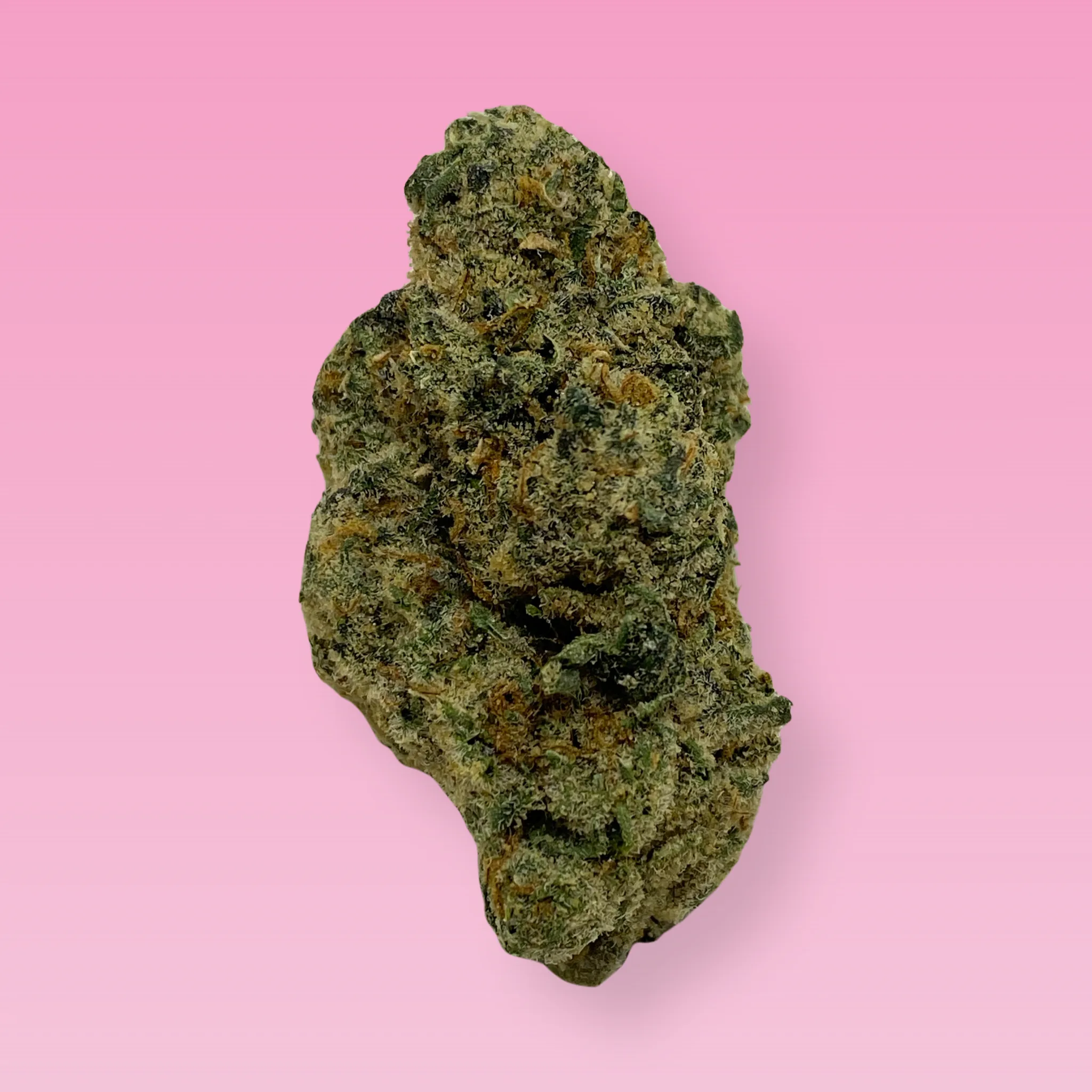 Tamalez cannabis strain buds with earthy and spicy aroma